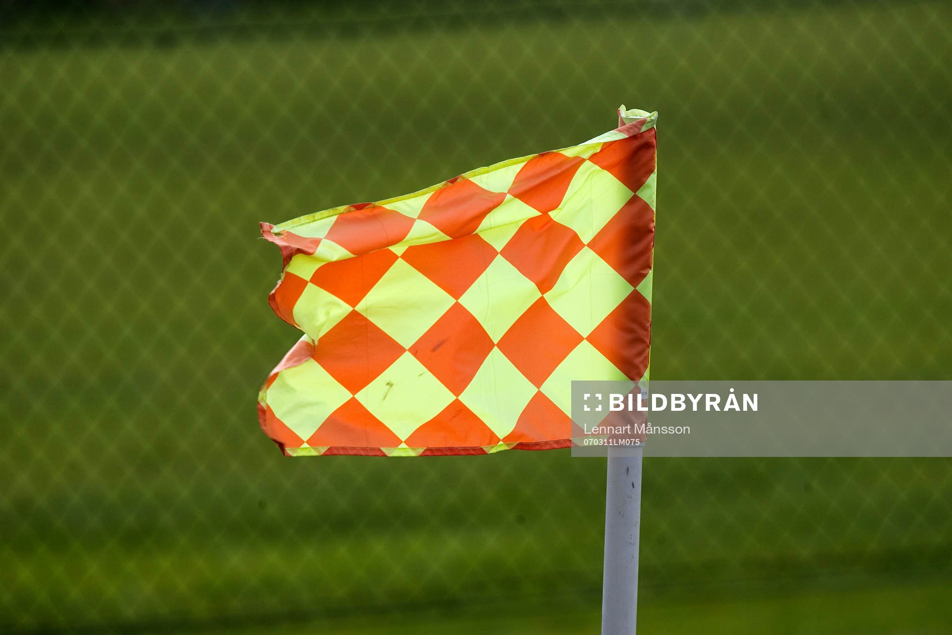 Linjeflagga, flagga