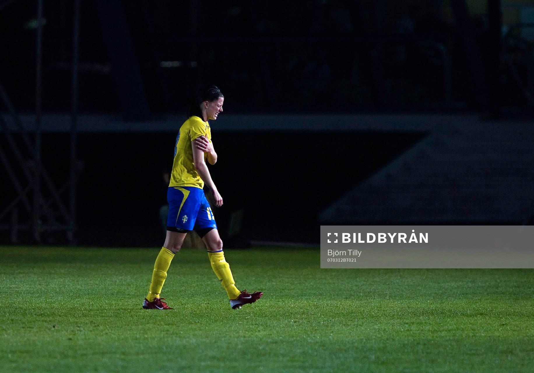 Lotta Schelin, Sverige