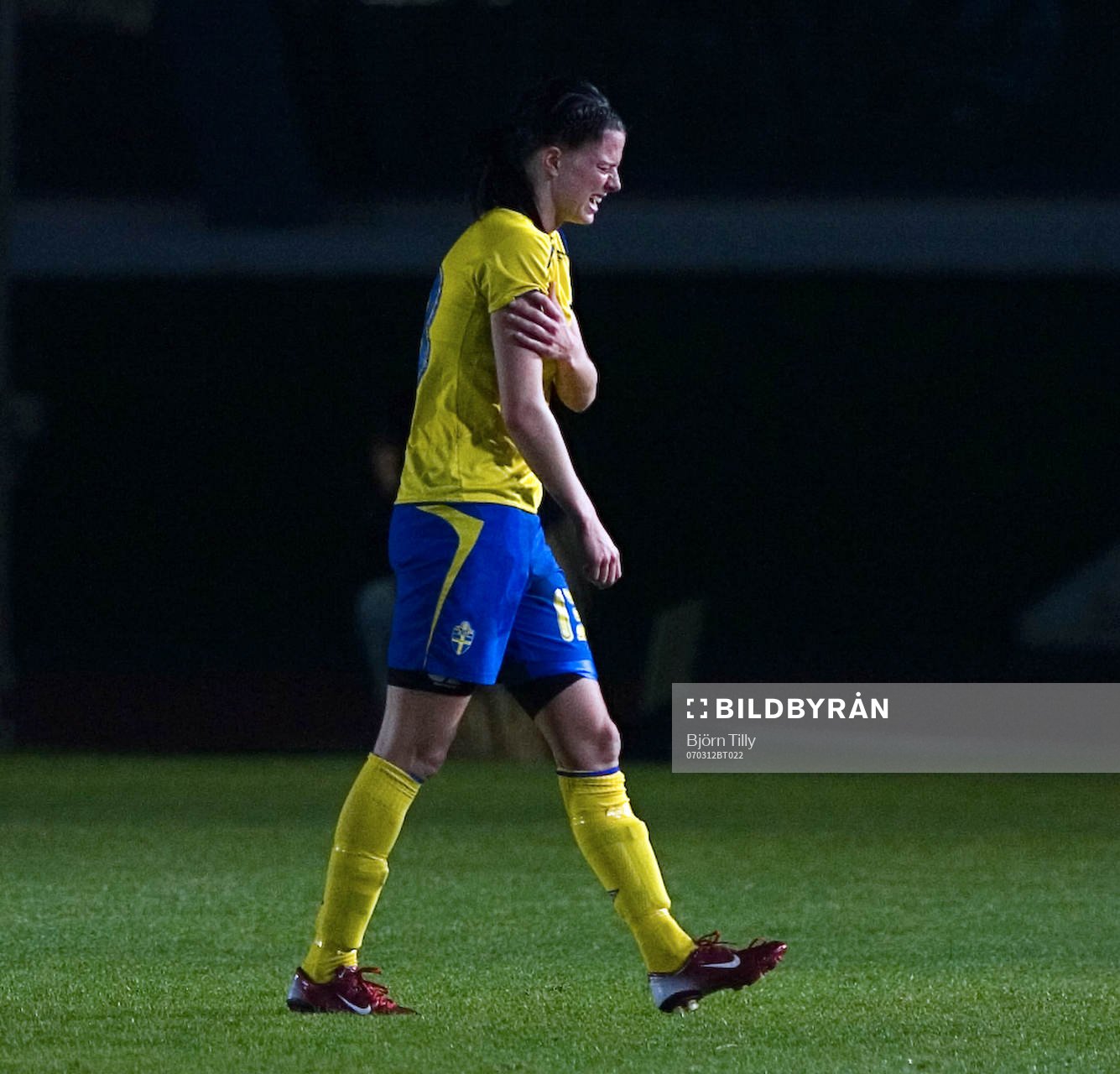 Lotta Schelin, Sverige