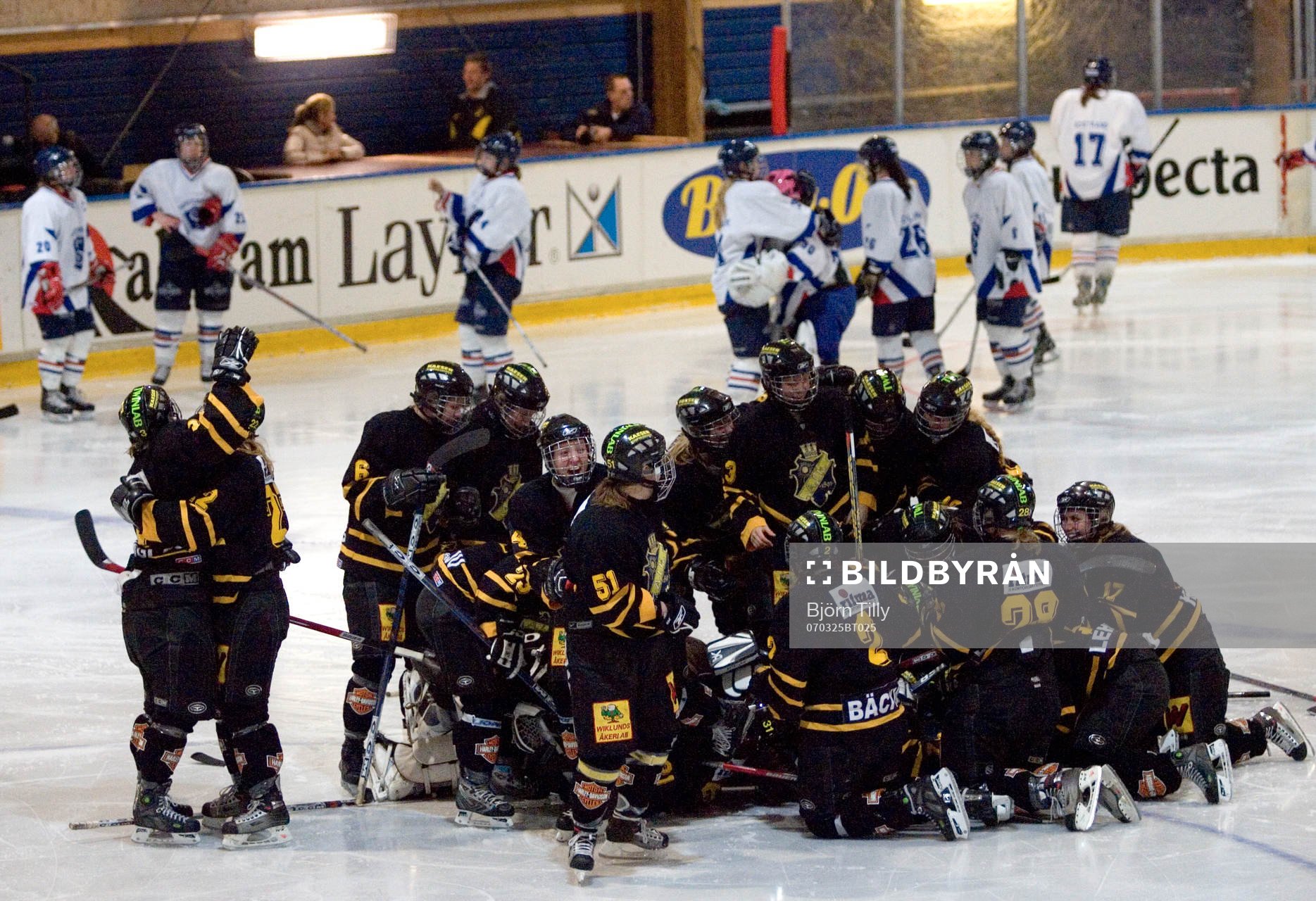 Segerglädje i AIK
