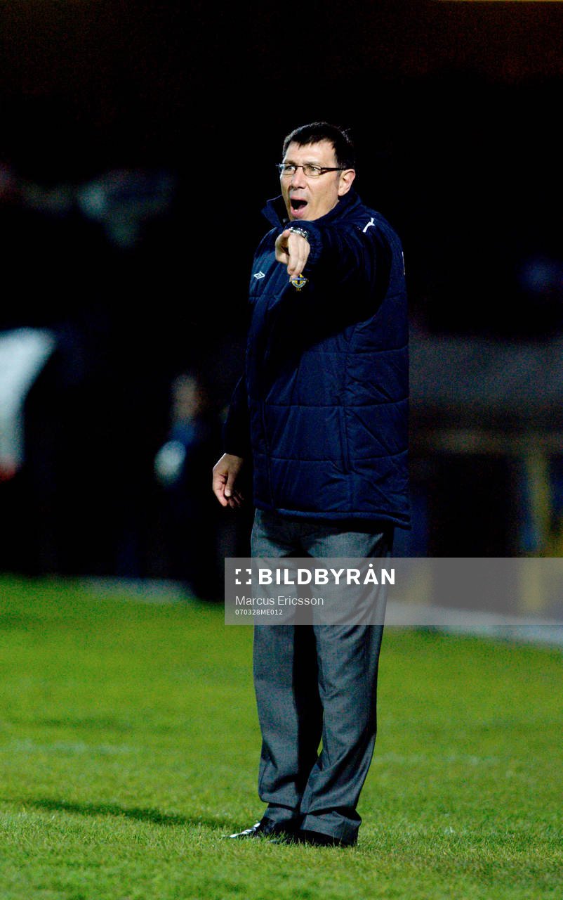 Lawrie Sanchez, Förbundskapten