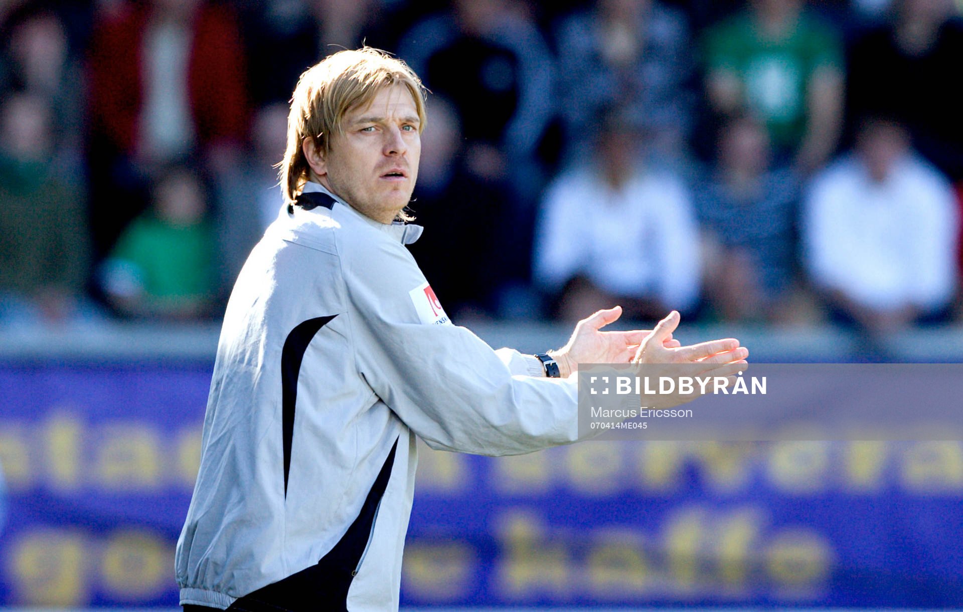 Tony Gustavsson, tränare, Hammarby