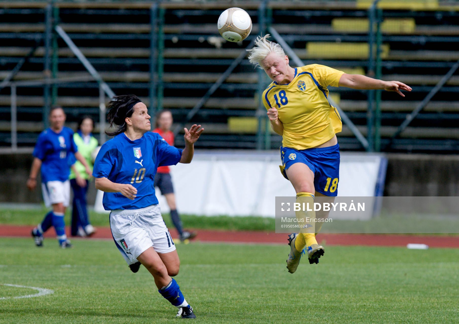 Nilla Fischer, Sverige