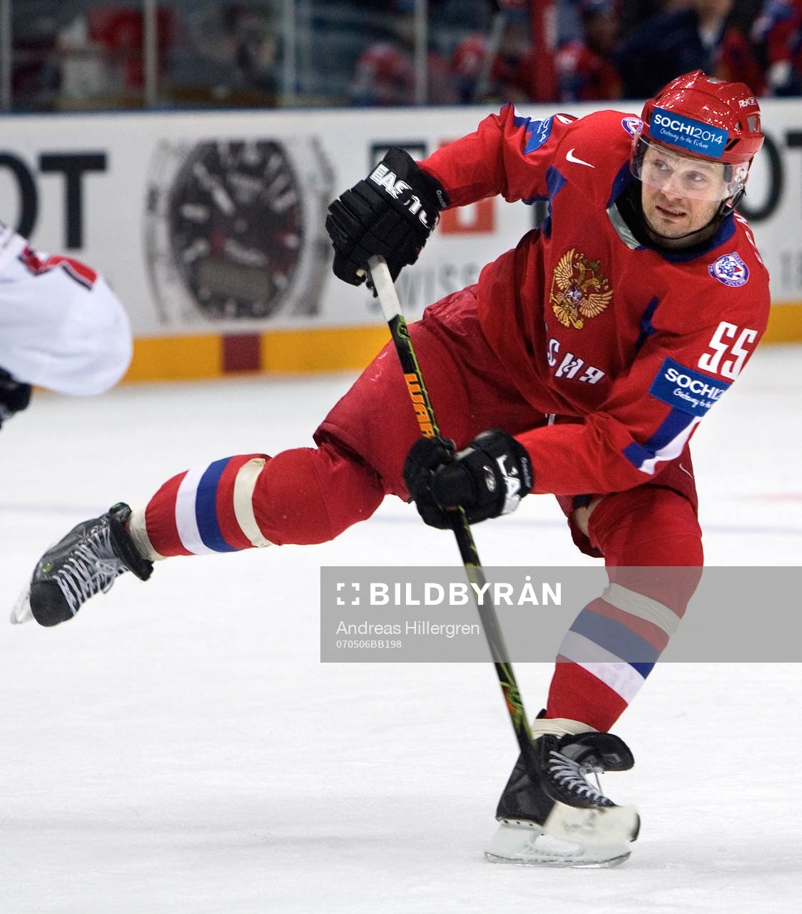 Sergei Gonchar
