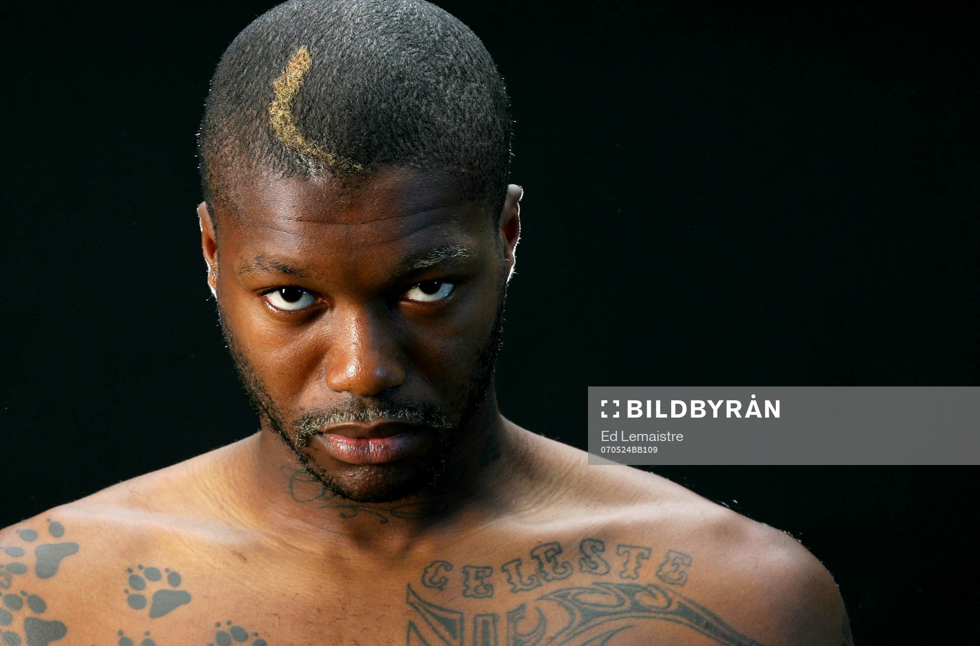 Djibril Cisse