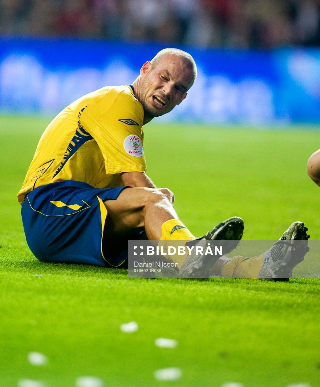 Fredrik Ljungberg, Sverige