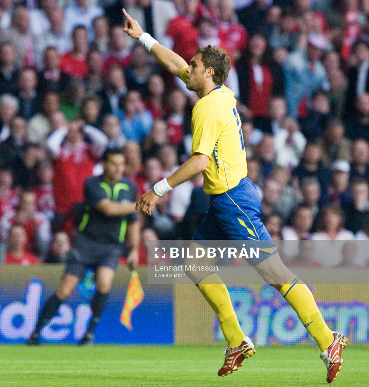 Johan Elmander, Sverige