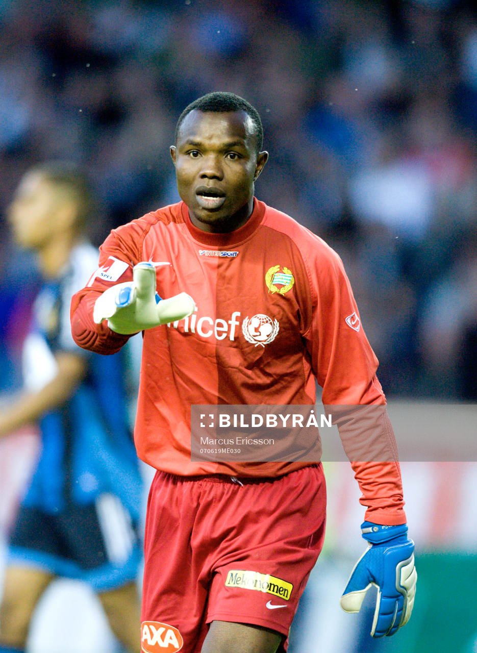 Richard Kingson, Målvakt Hammarby