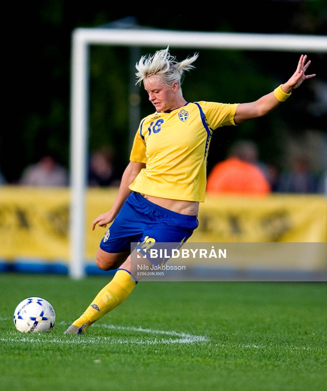 Nilla Fischer, Sverige