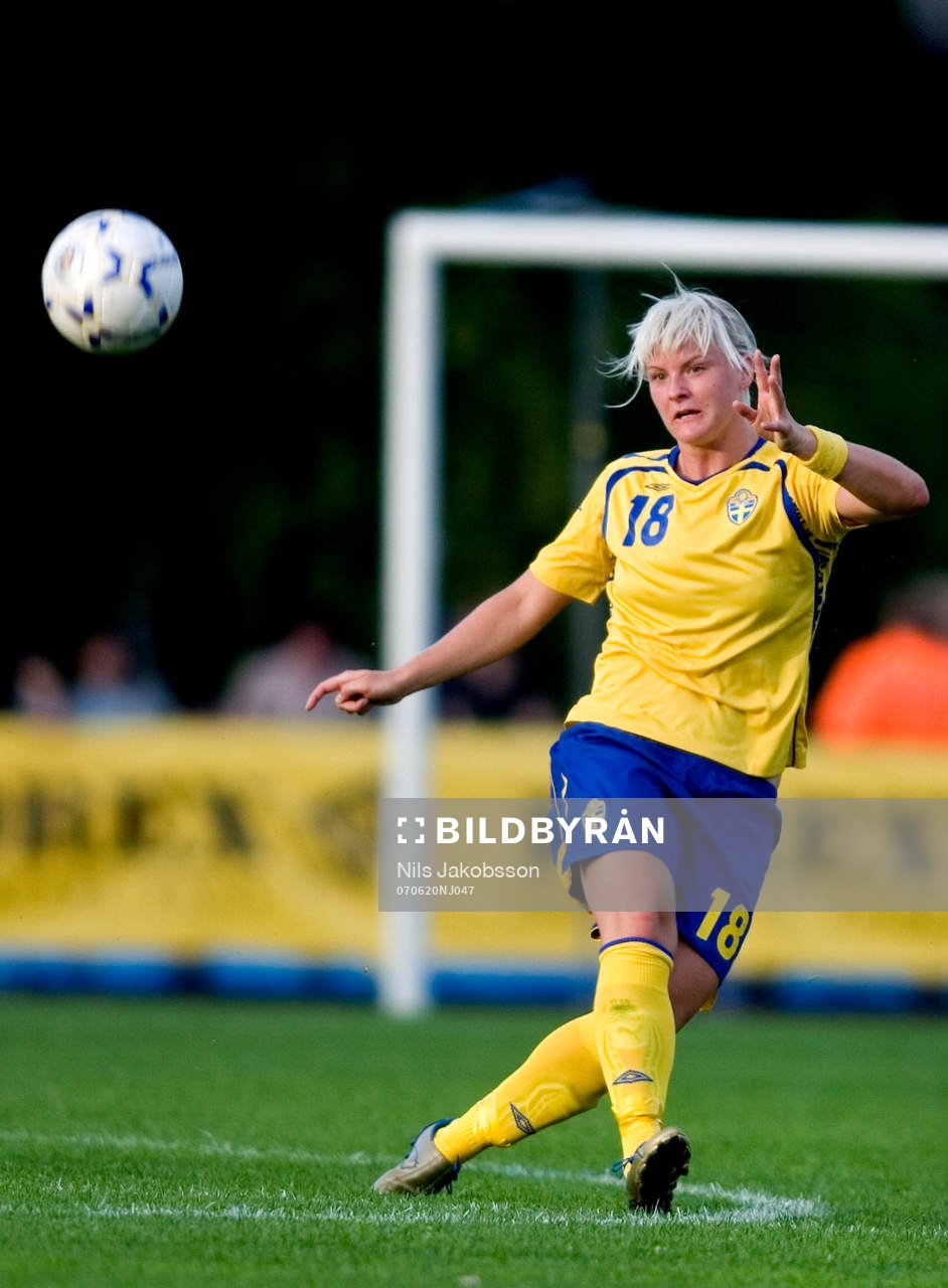 Nilla Fischer, Sverige