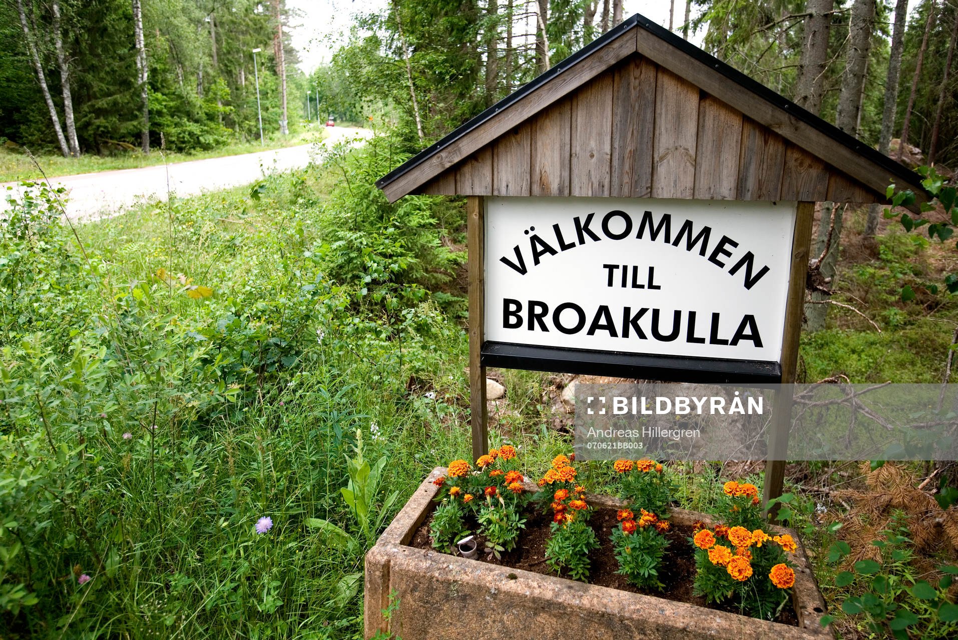 Bröderna ELM, Viktor Elm, Rasmus Elm och David Elm