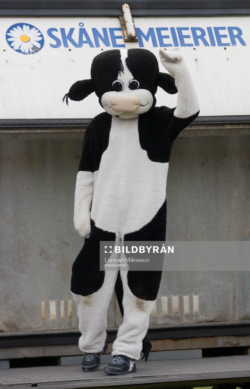 Kalvin, maskot Skånemejerier