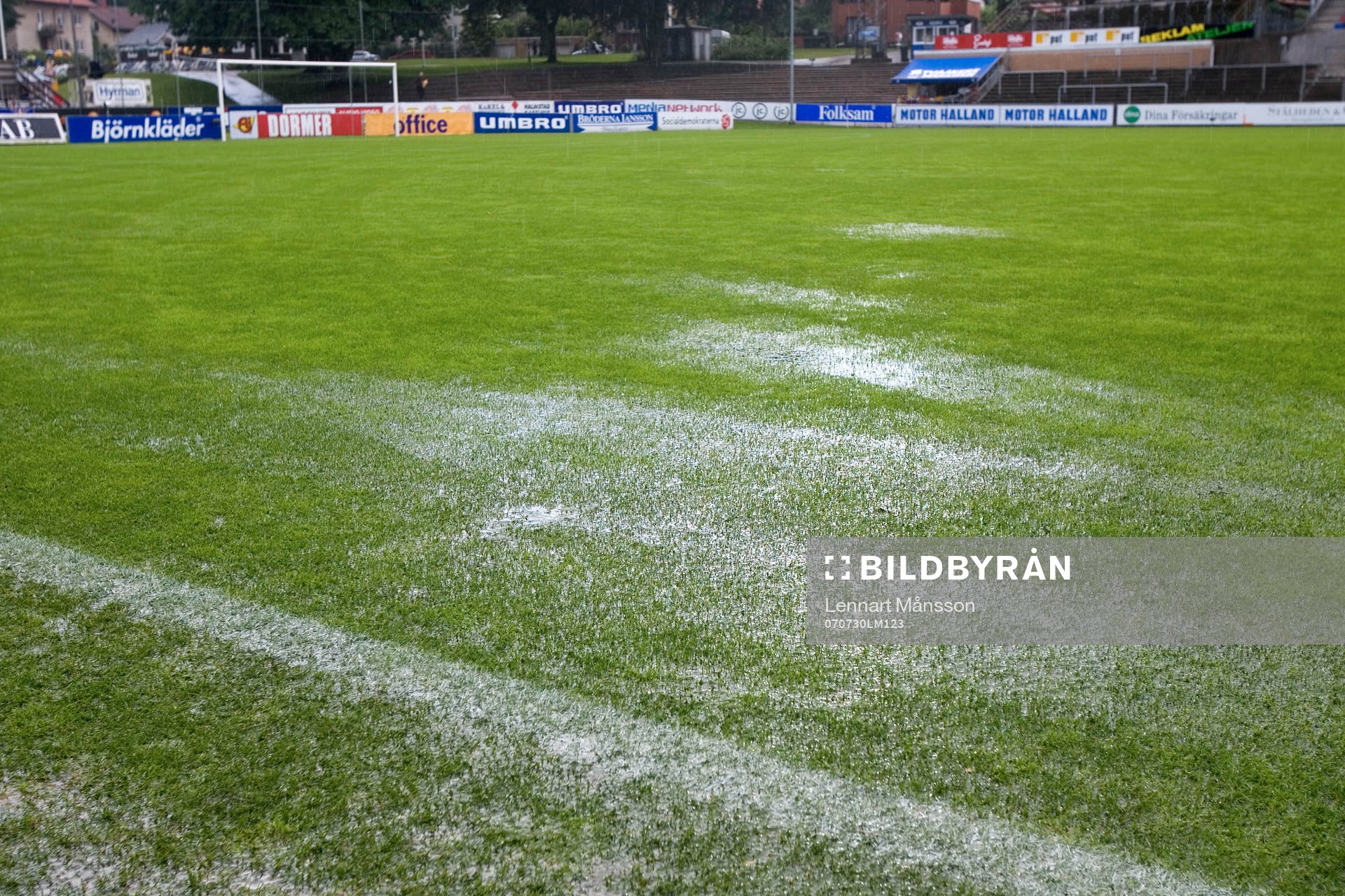 Regn, vatten, vattensjuk plan