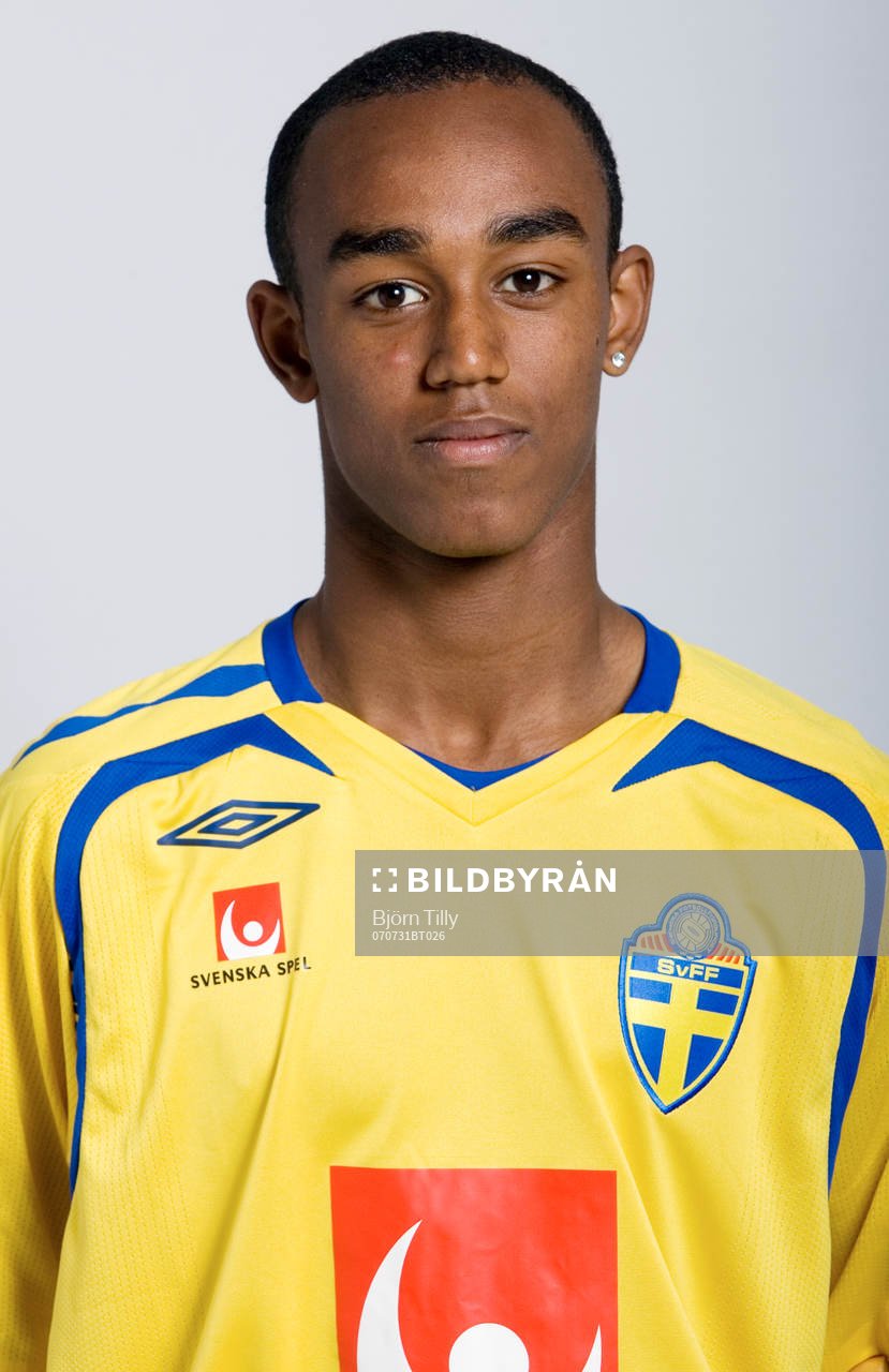 David Johansson, Sverige