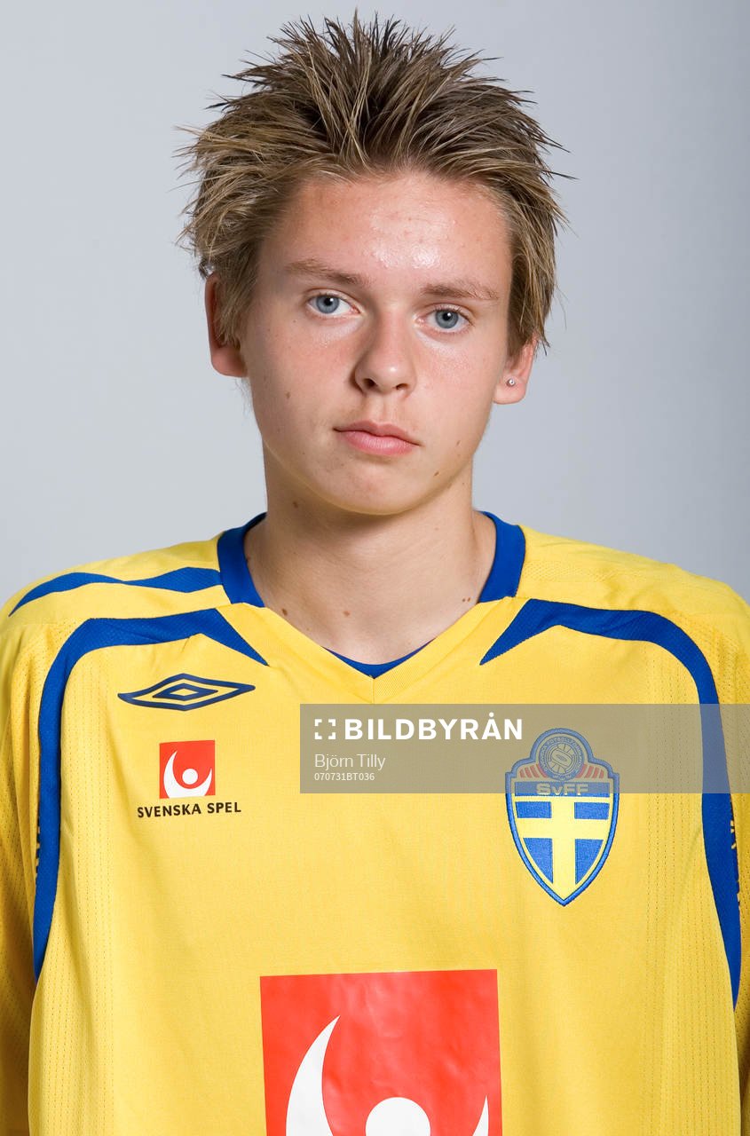 Johan Hult, Sverige