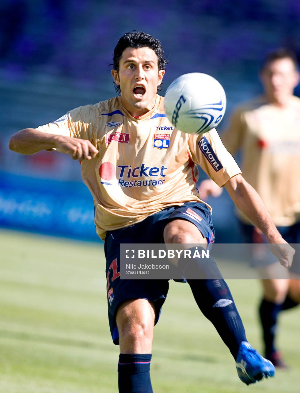 Fabio Grosso, Lyon