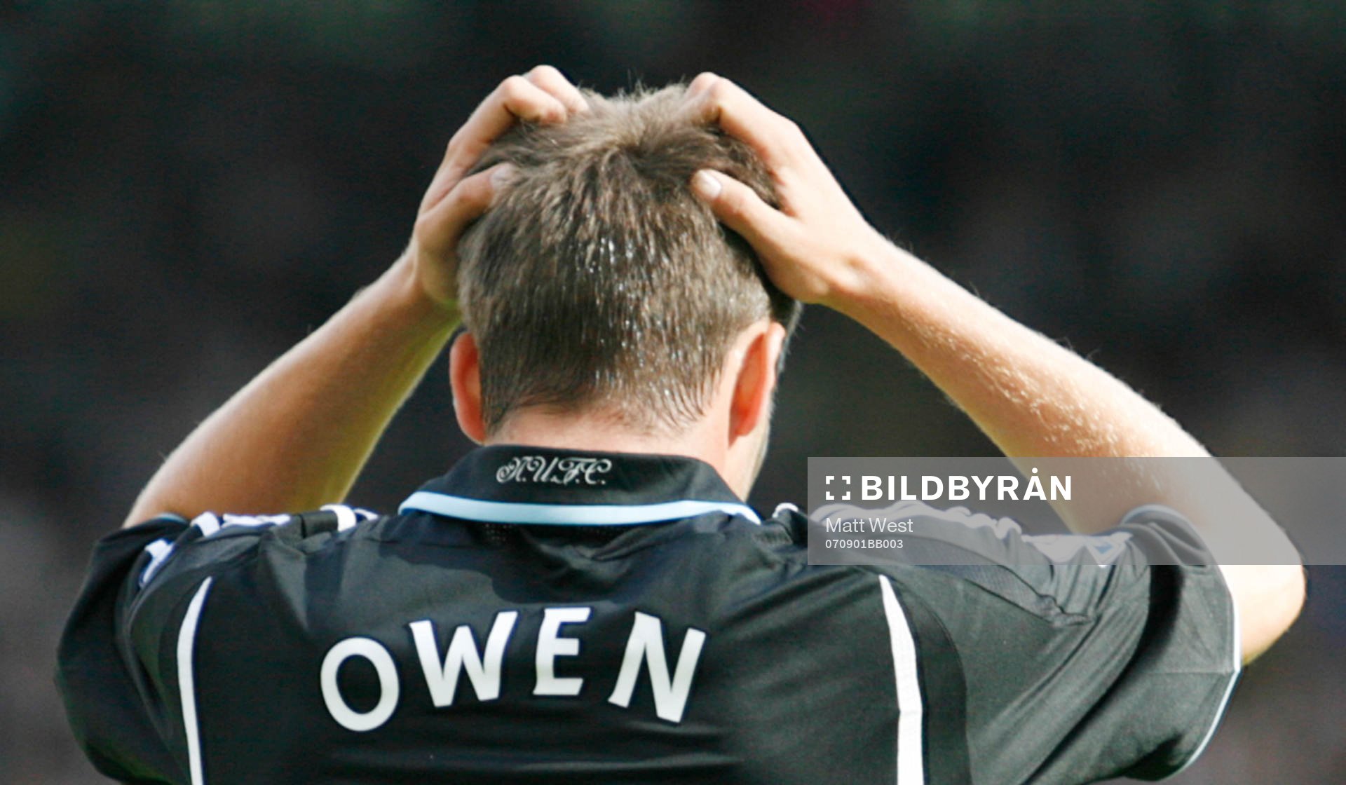 Michael Owen, Newcastle