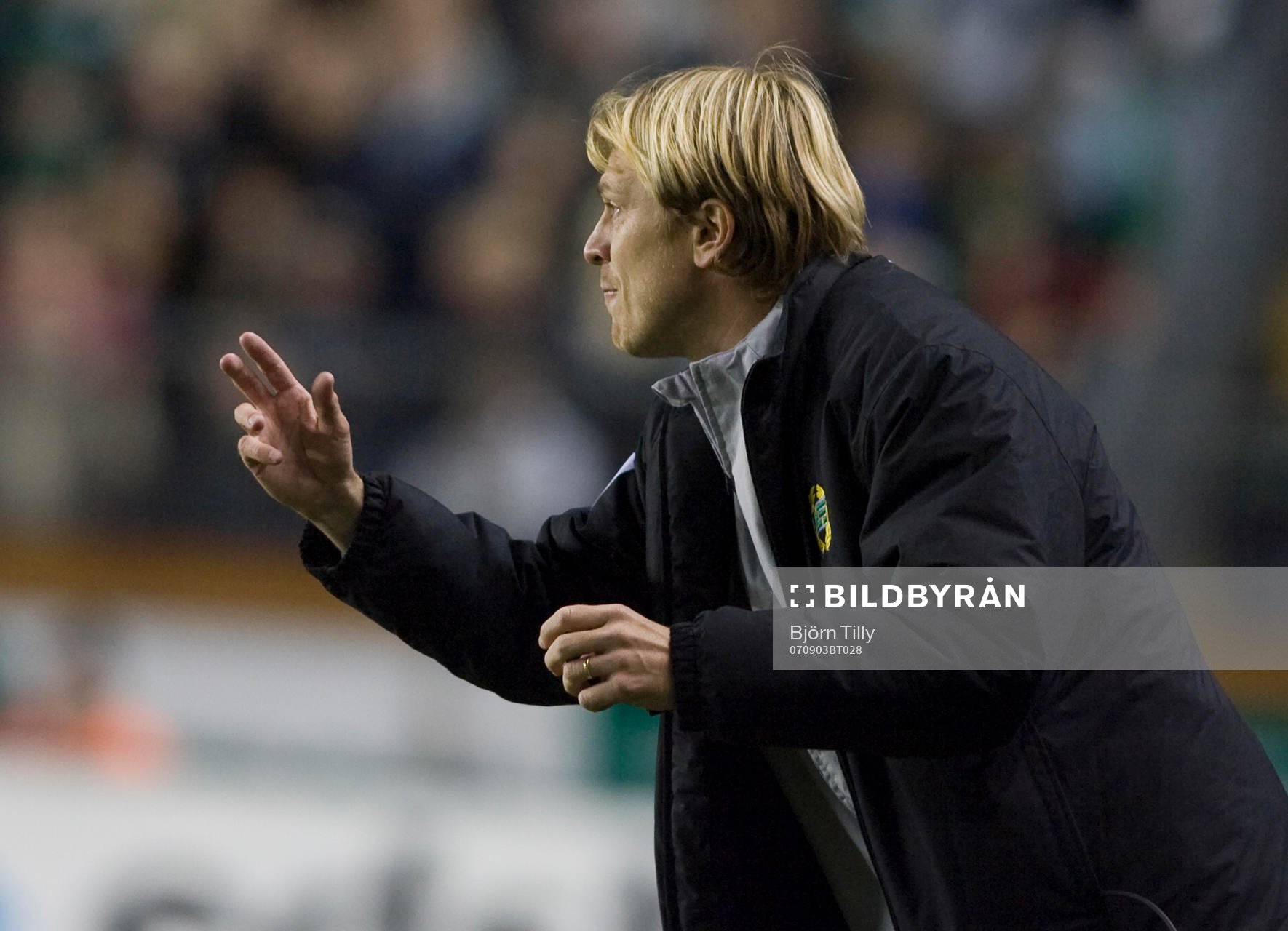 Tony Gustavsson, tränare, Hammarby