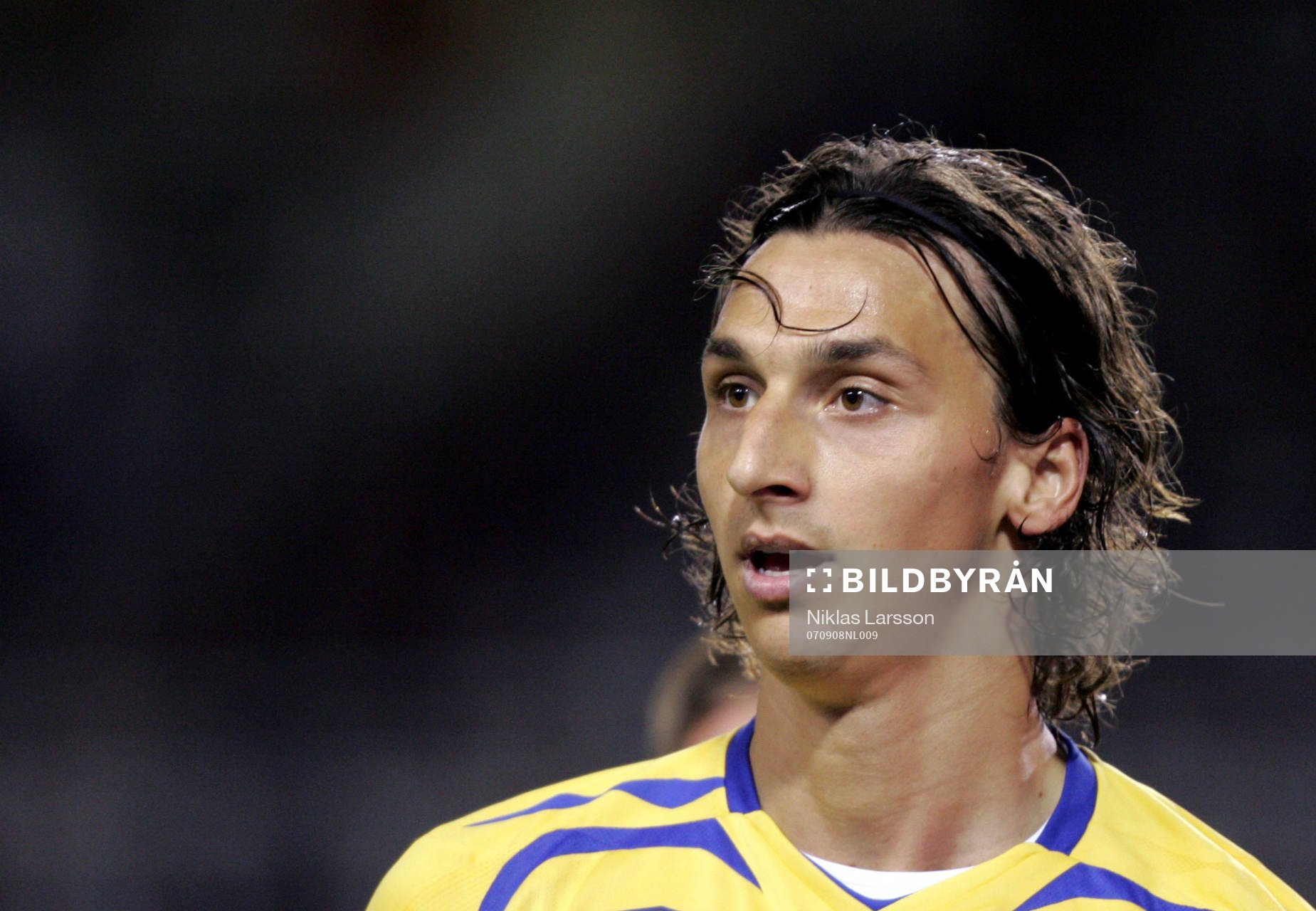 Zlatan Ibrahimovic, Sverige