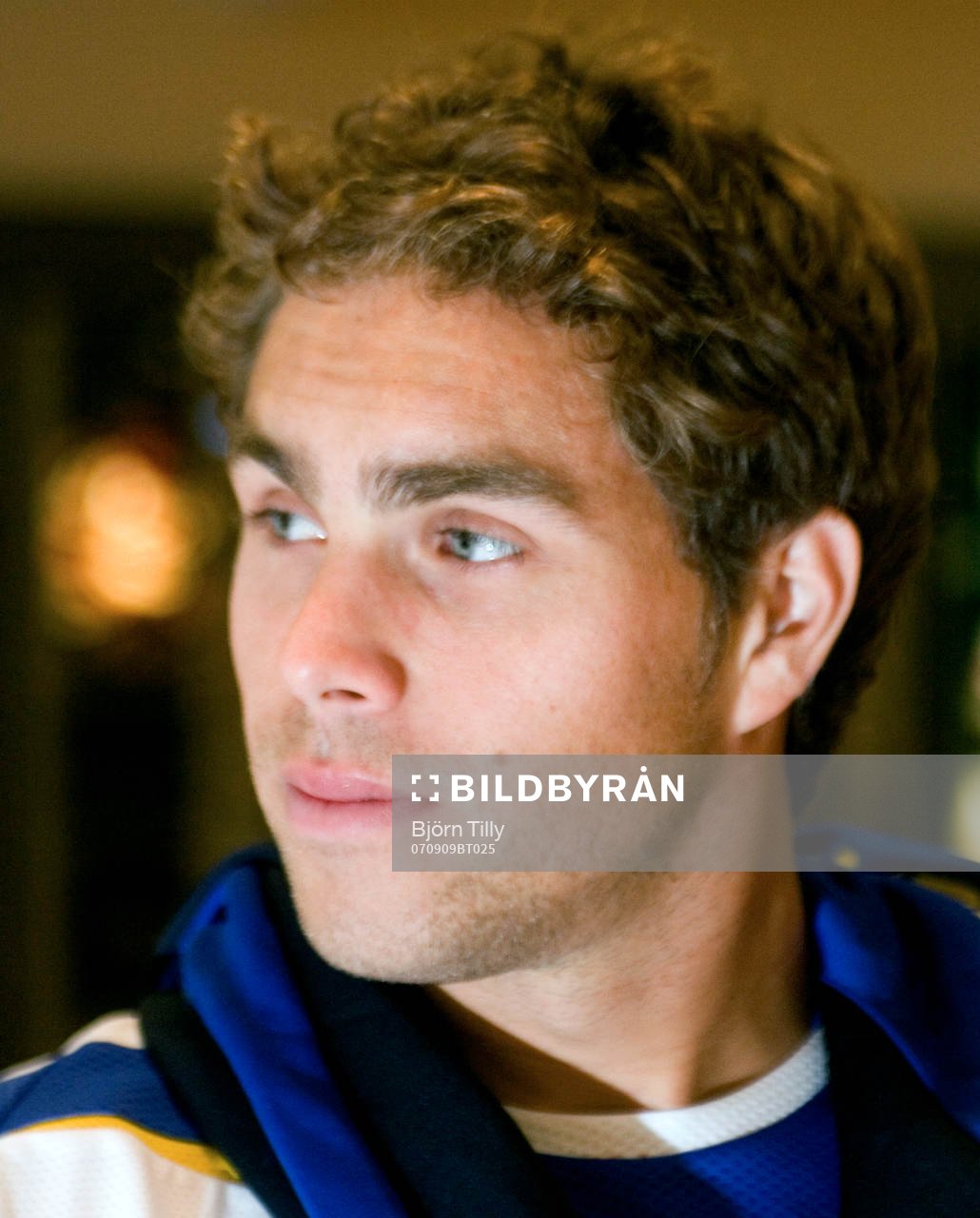 Johan Elmander, Sverige