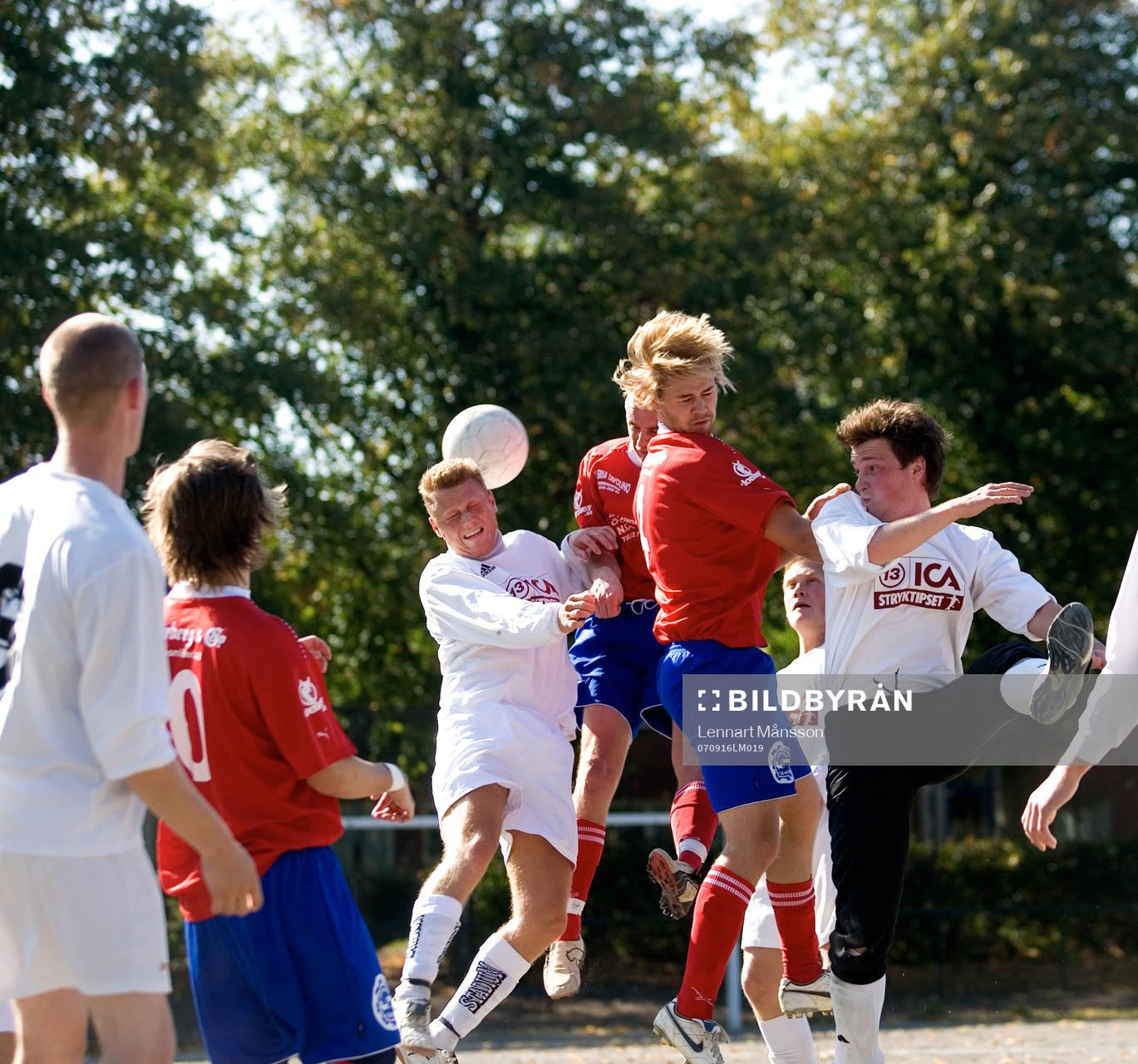 Genre. Grus. Grusplan