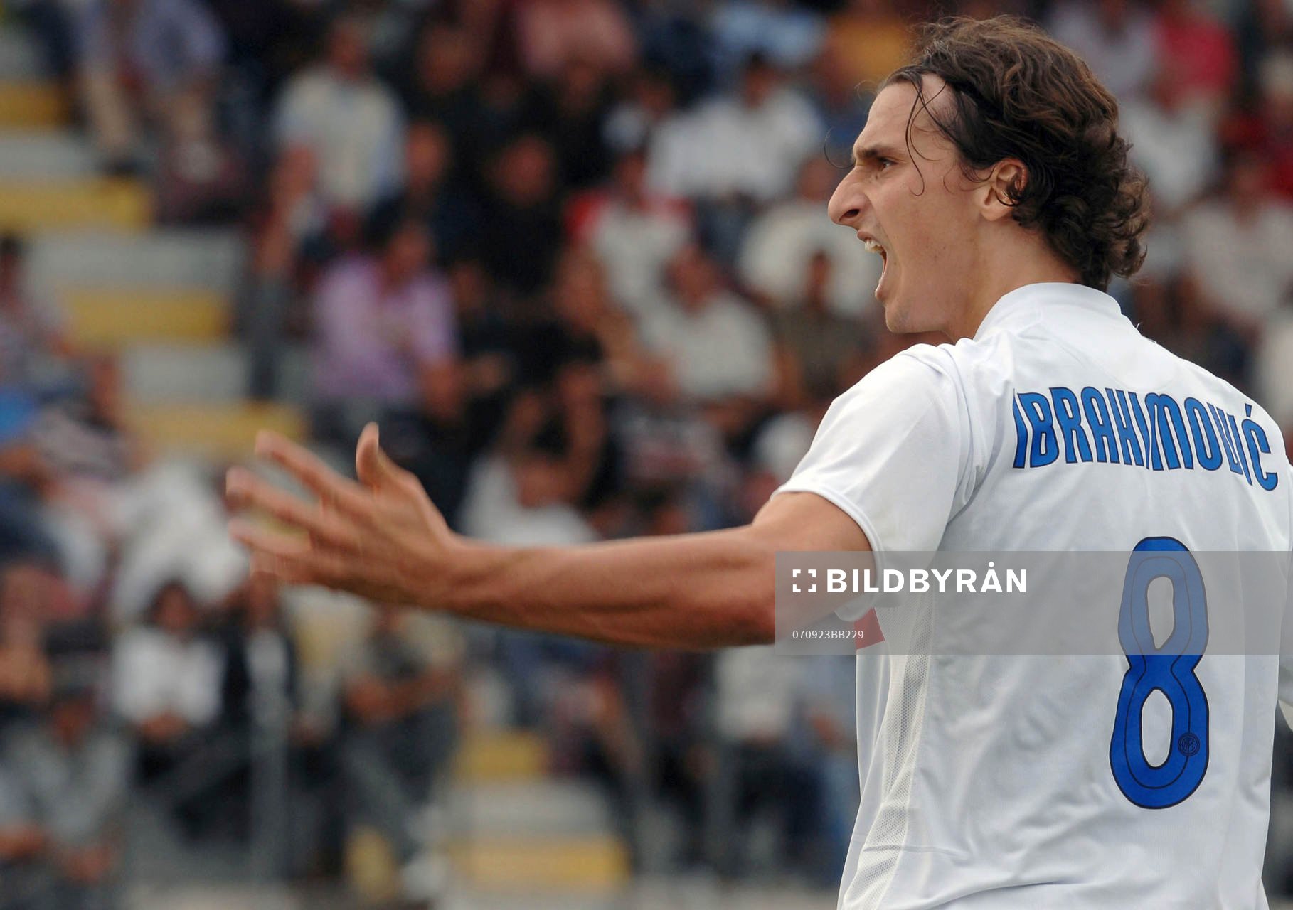 Zlatan Ibrahimovic, Inter