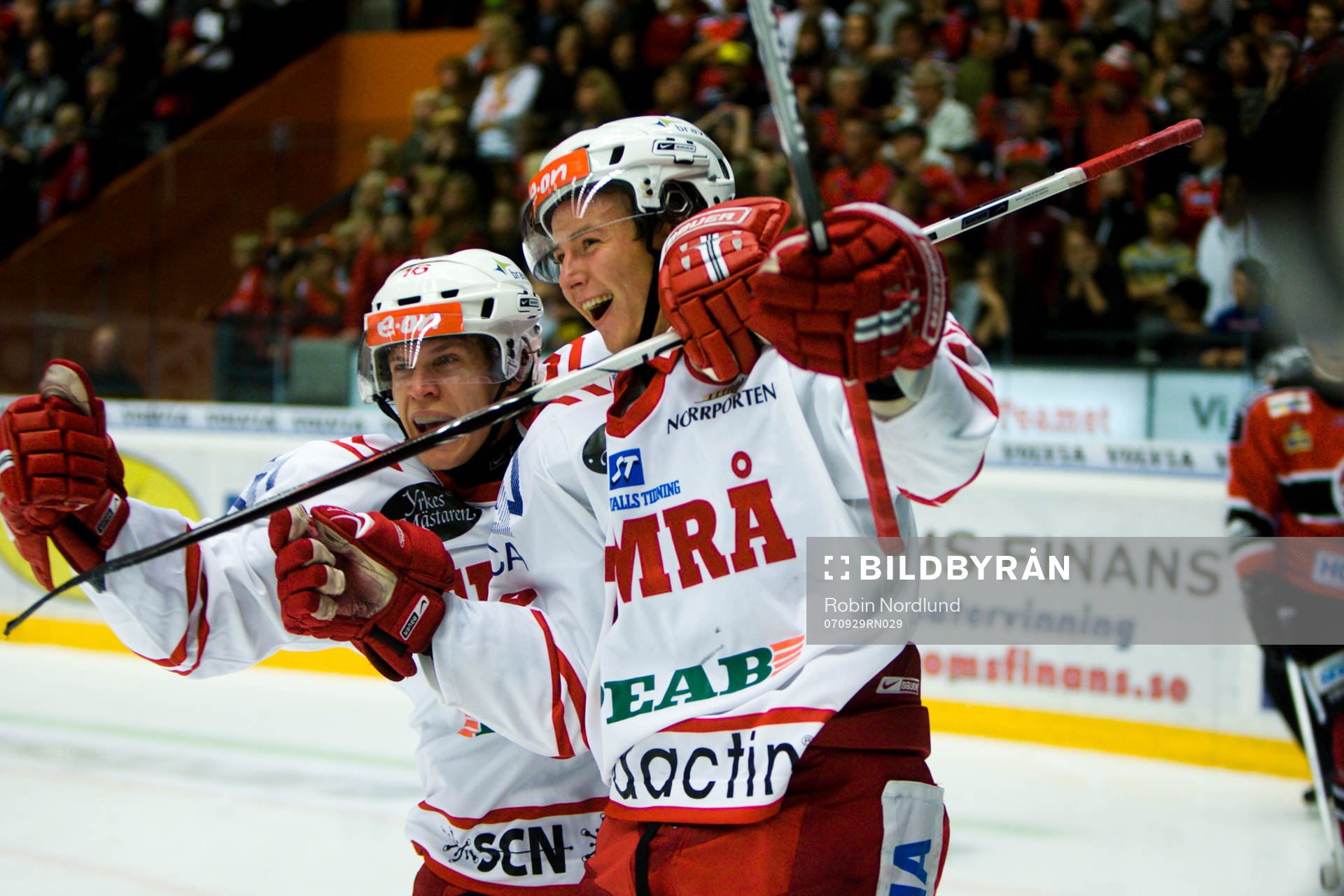 Peter Regin och Anton Axelsson, Timrå jubel