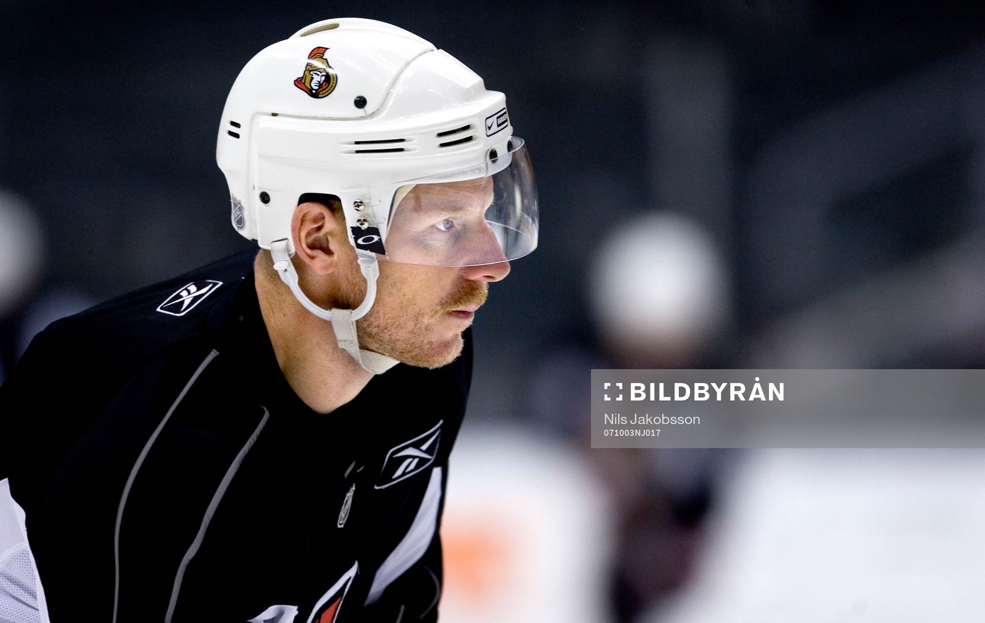 Daniel Alfredsson, Ottawa Senators