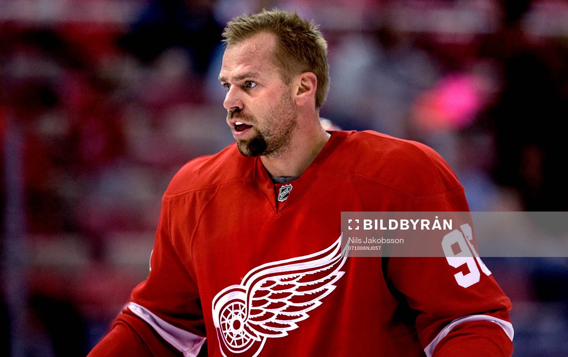 Tomas Holmström, Detroit