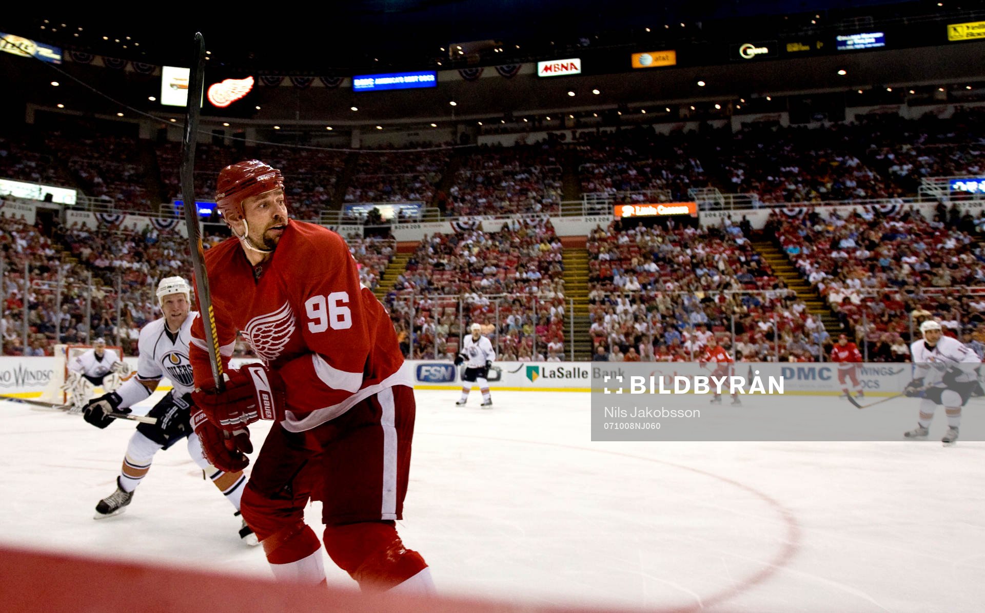 Tomas Holmström, Detroit