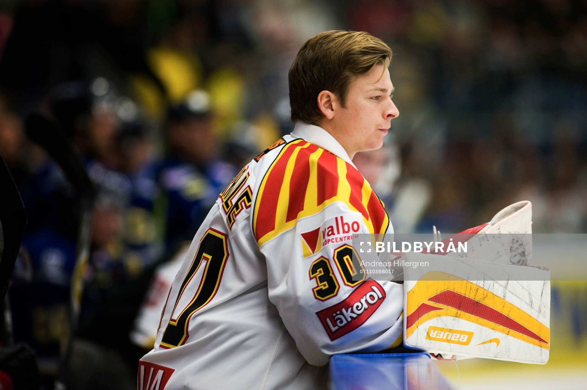 Ishockey, Elitserien, Daniel Sperrle, målvakt, Brynäs