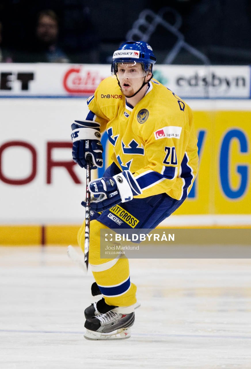 Daniel Fernholm, Sverige