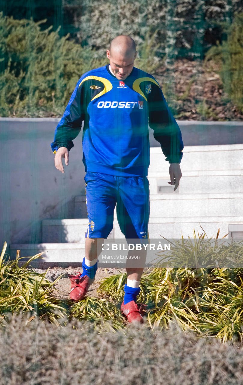 Fredrik Ljungberg