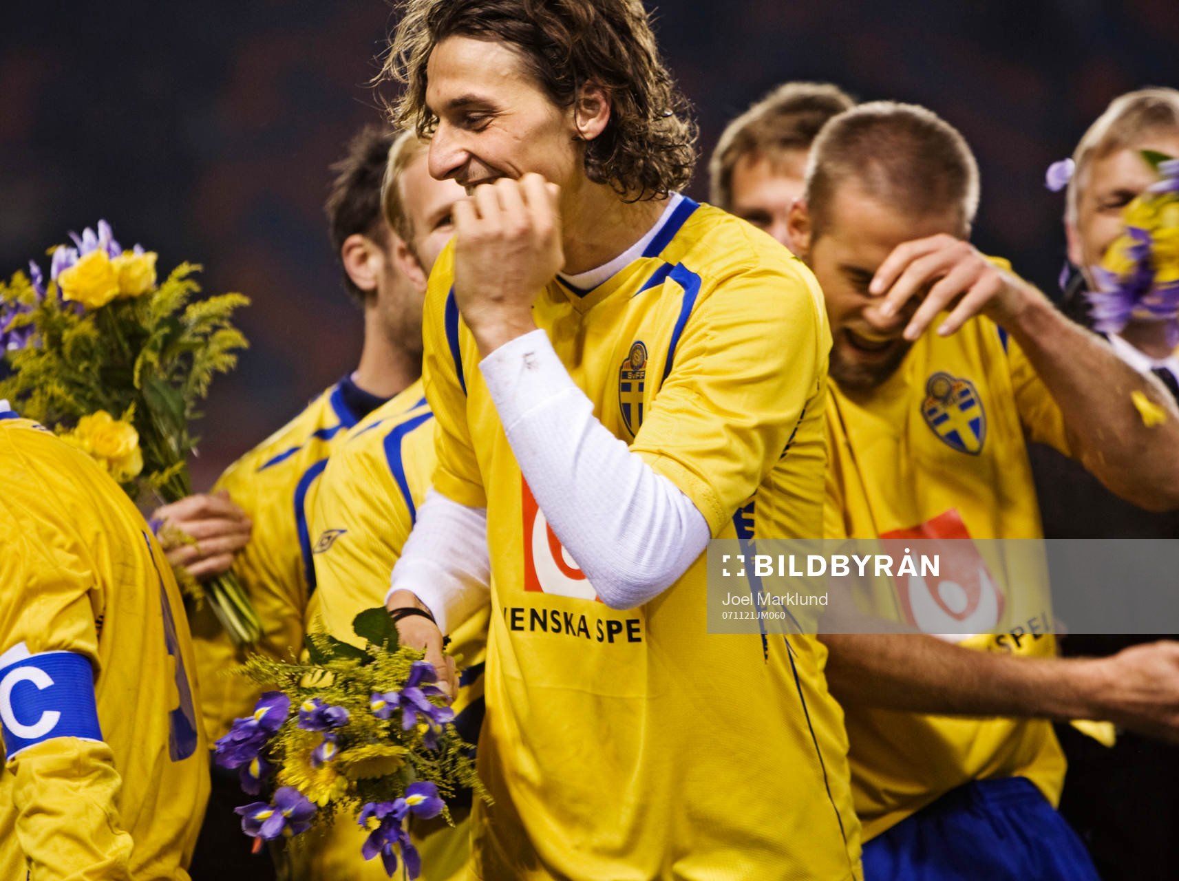 Zlatan Ibrahimovic, Sverige