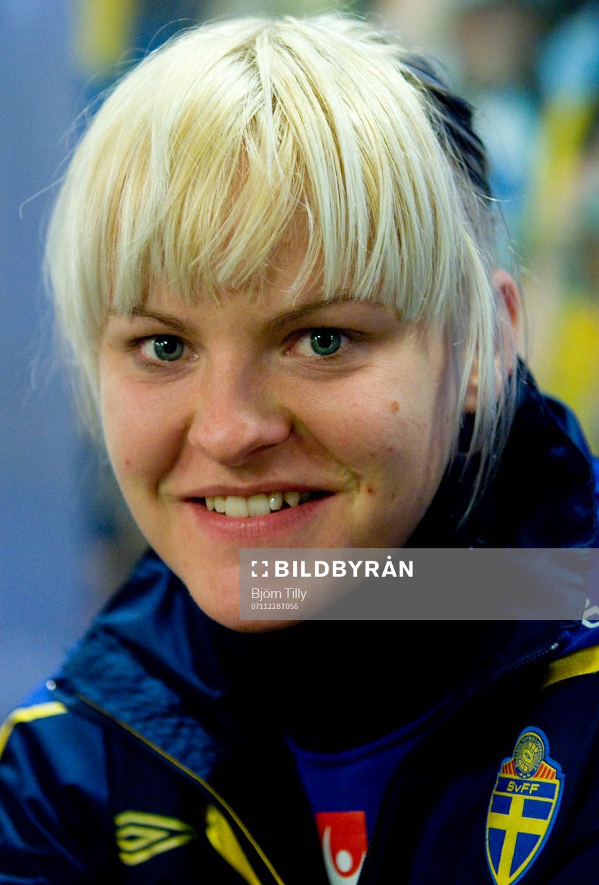 Nilla Fischer, Sverige
