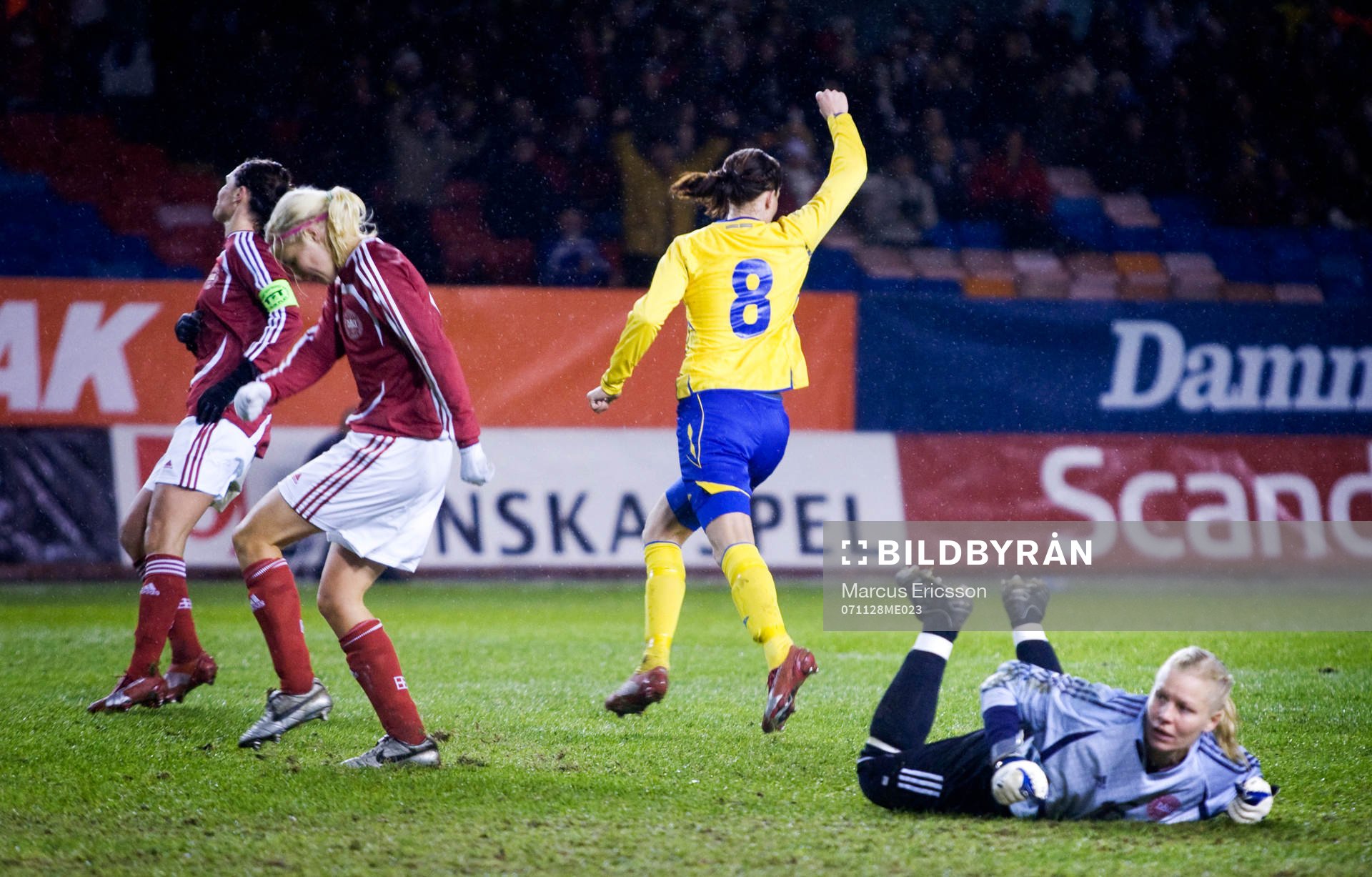 Lotta Schelin, Sverige, jubel