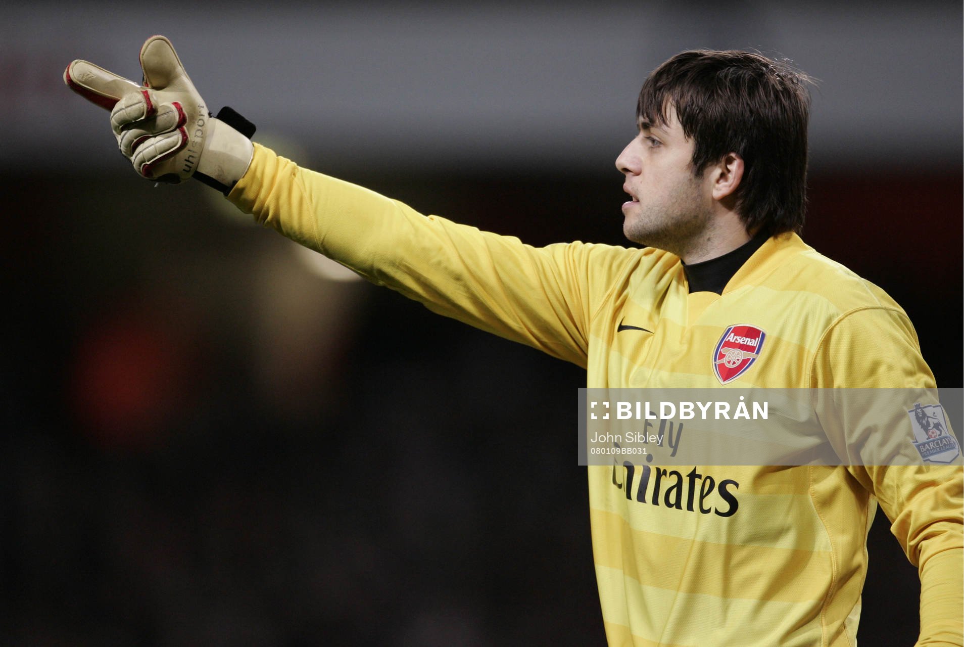 Lukasz Fabianski, målvakt