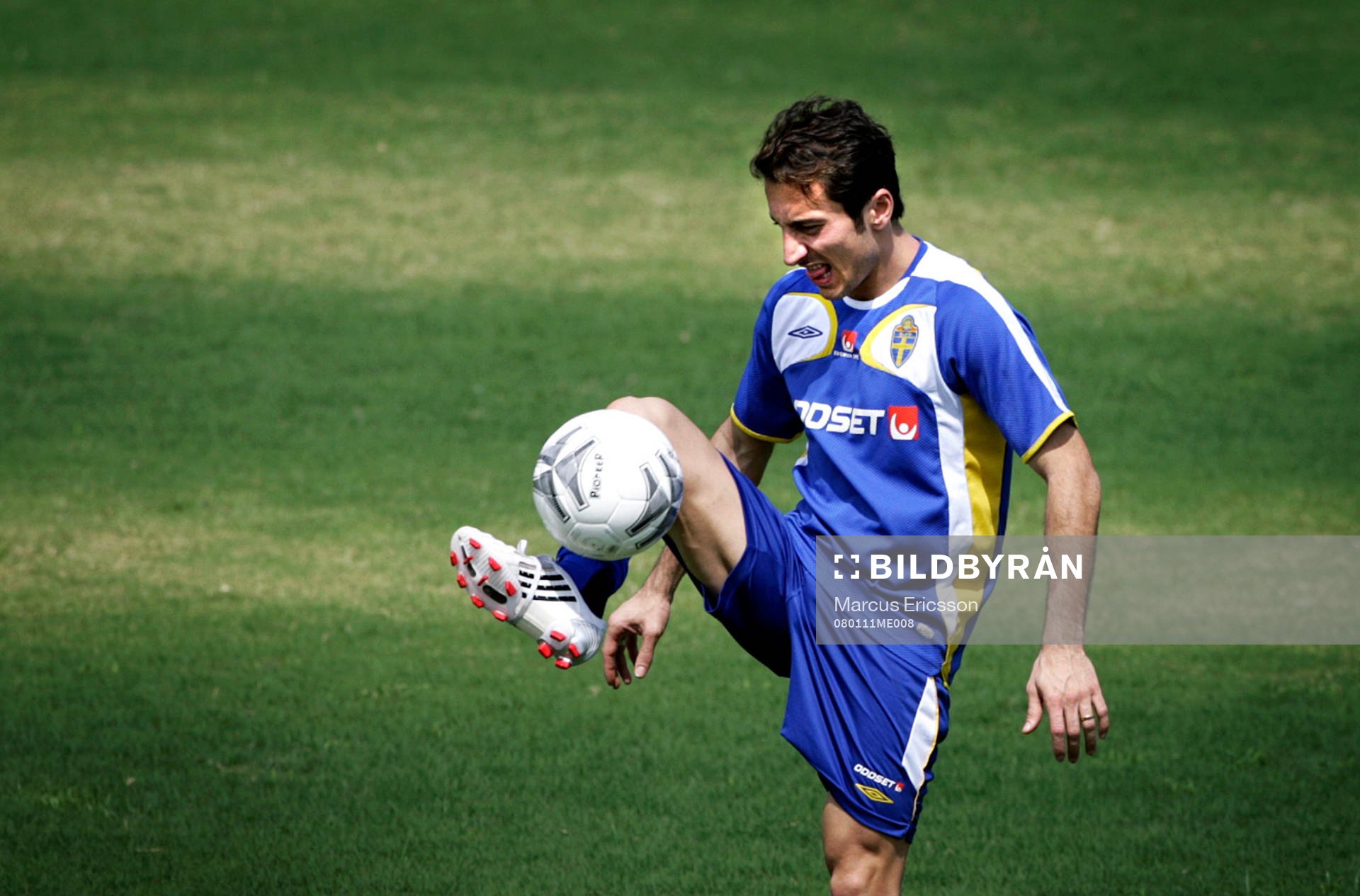 Louay Chanko