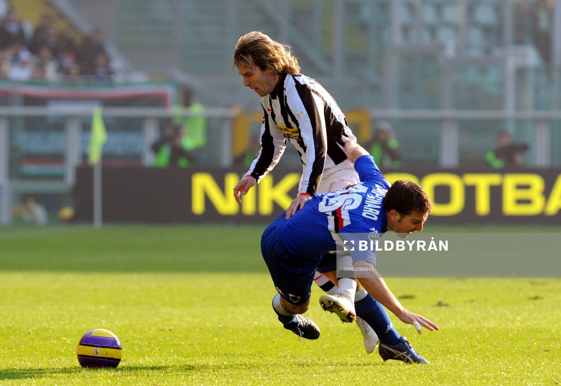 Campagnaro och Nedved