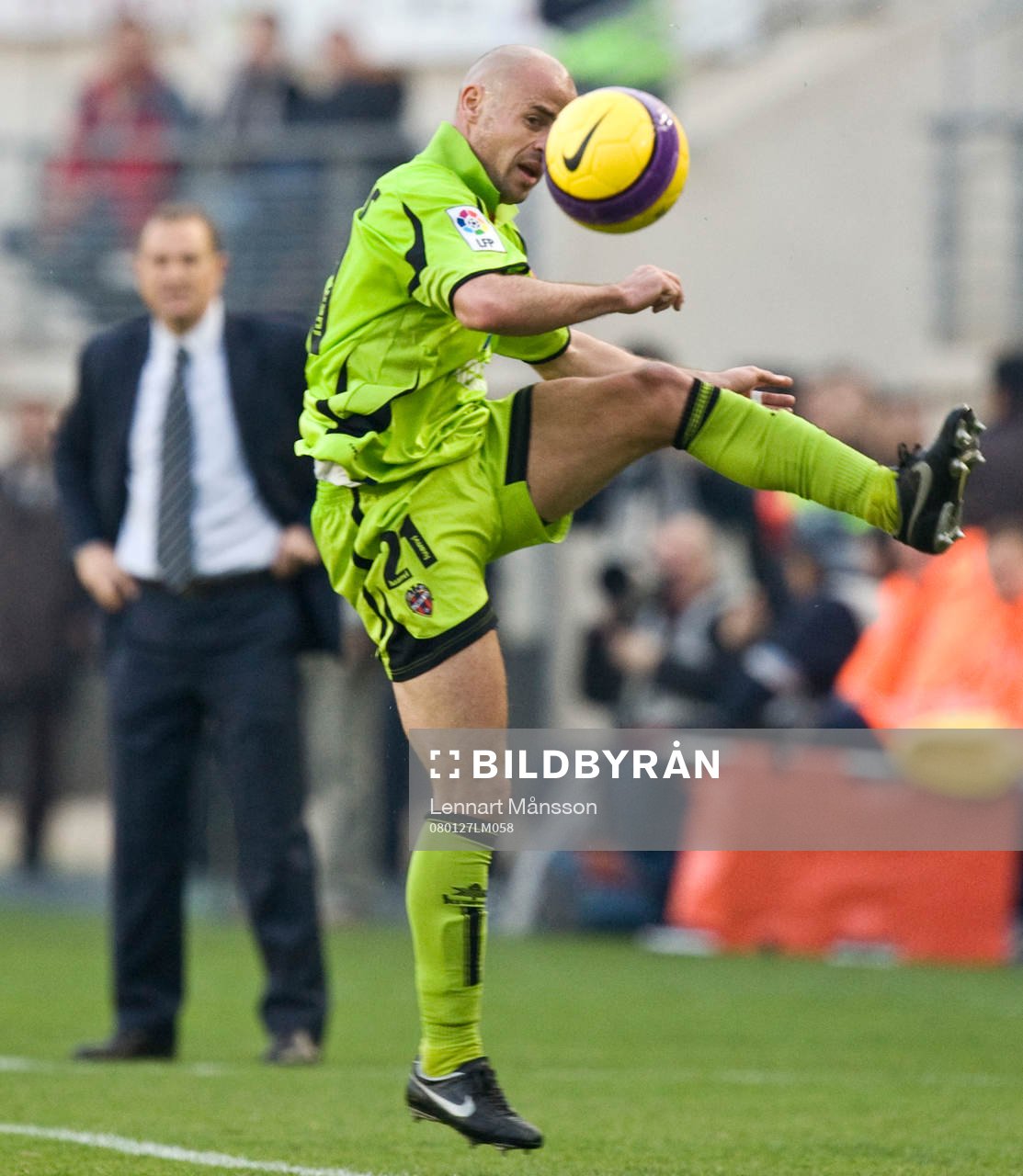 Courtois, Levante