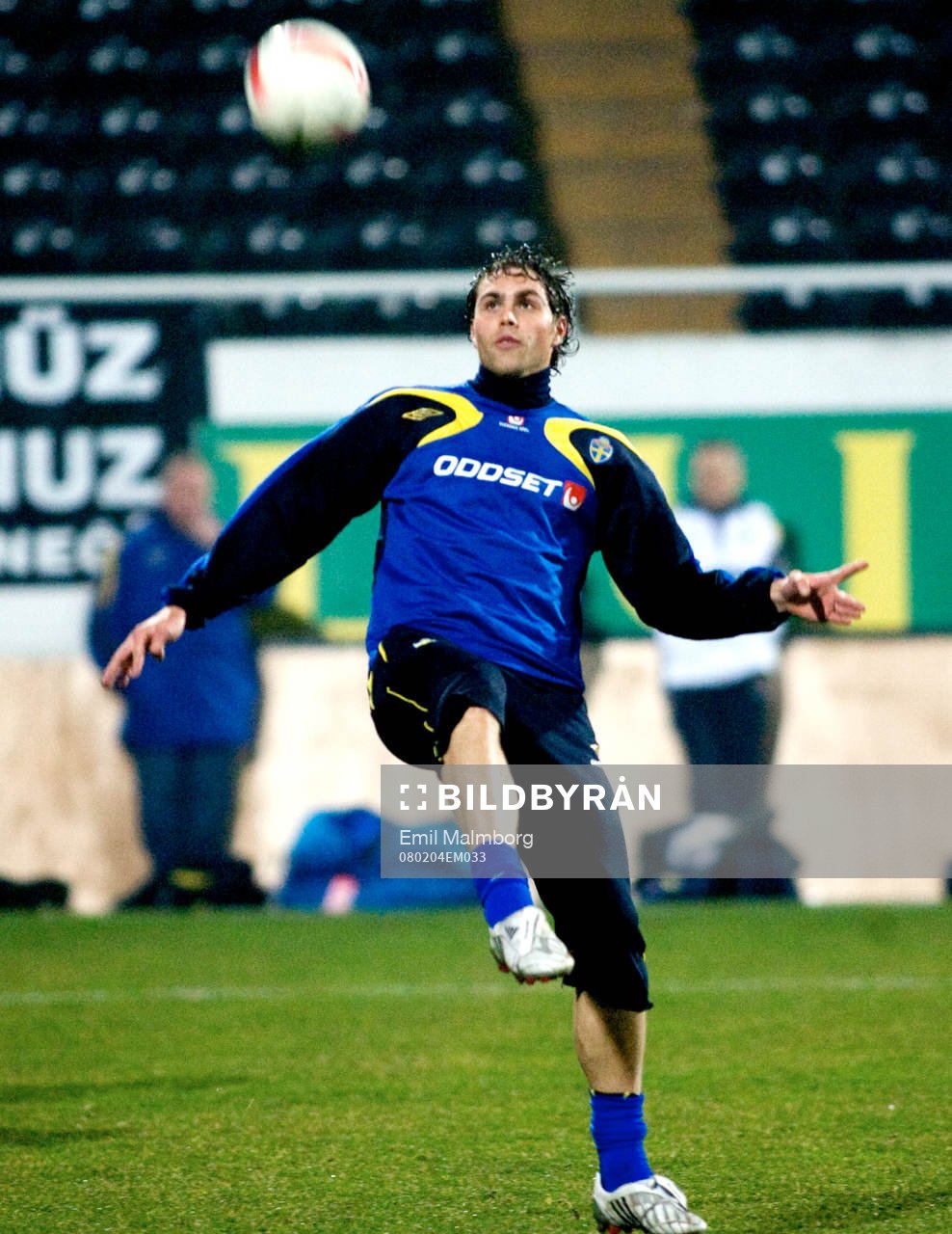 Johan Elmander, Sverige