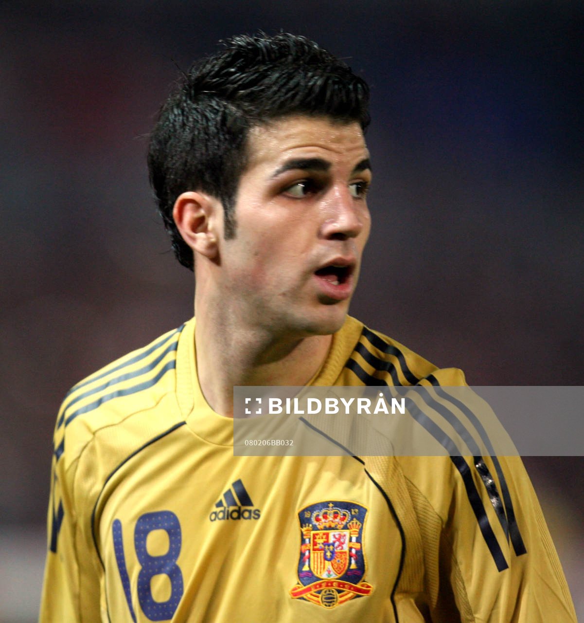 Cesc Fabregas, Spanien