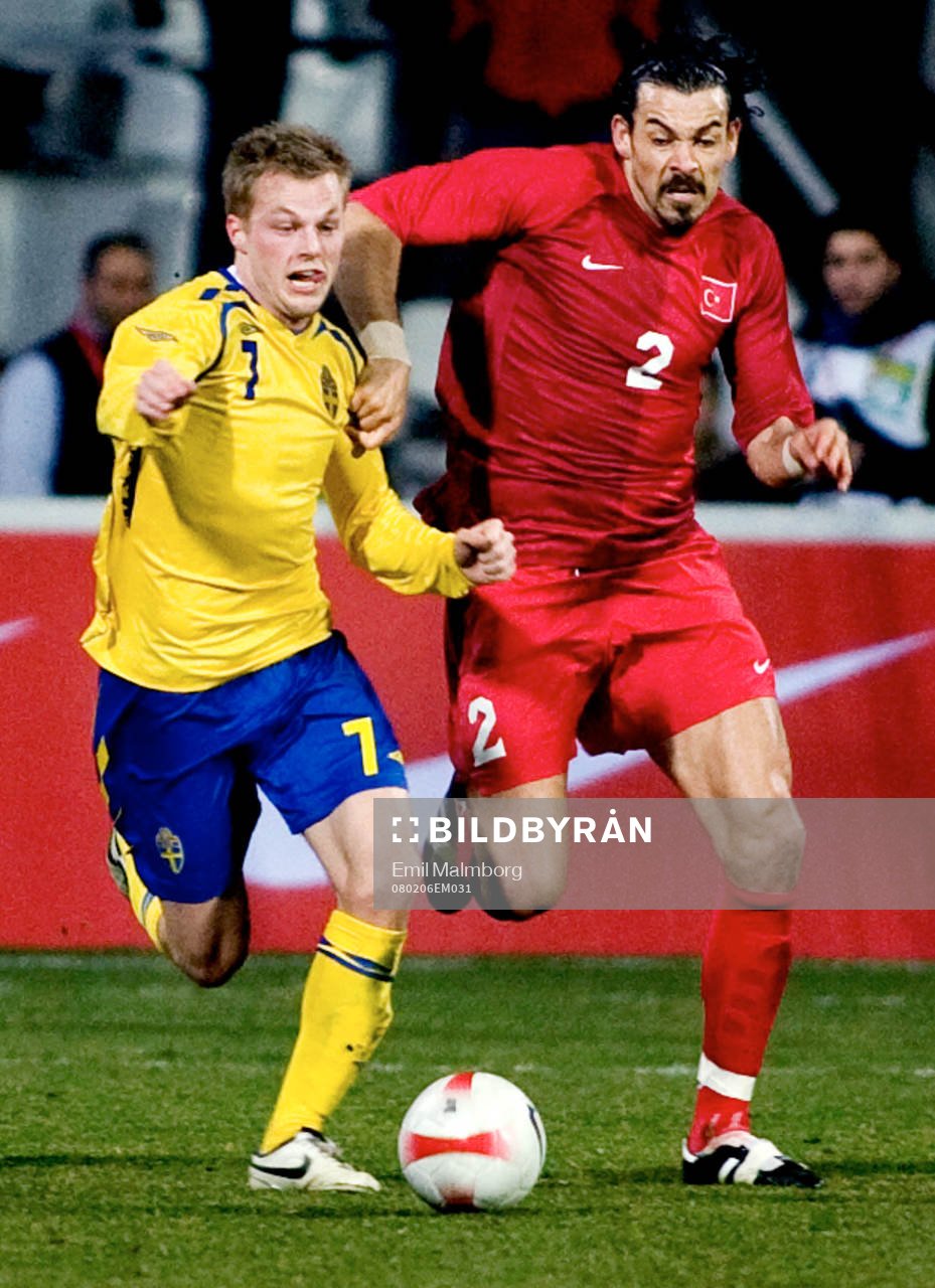 Sebastian Larsson, Sverige