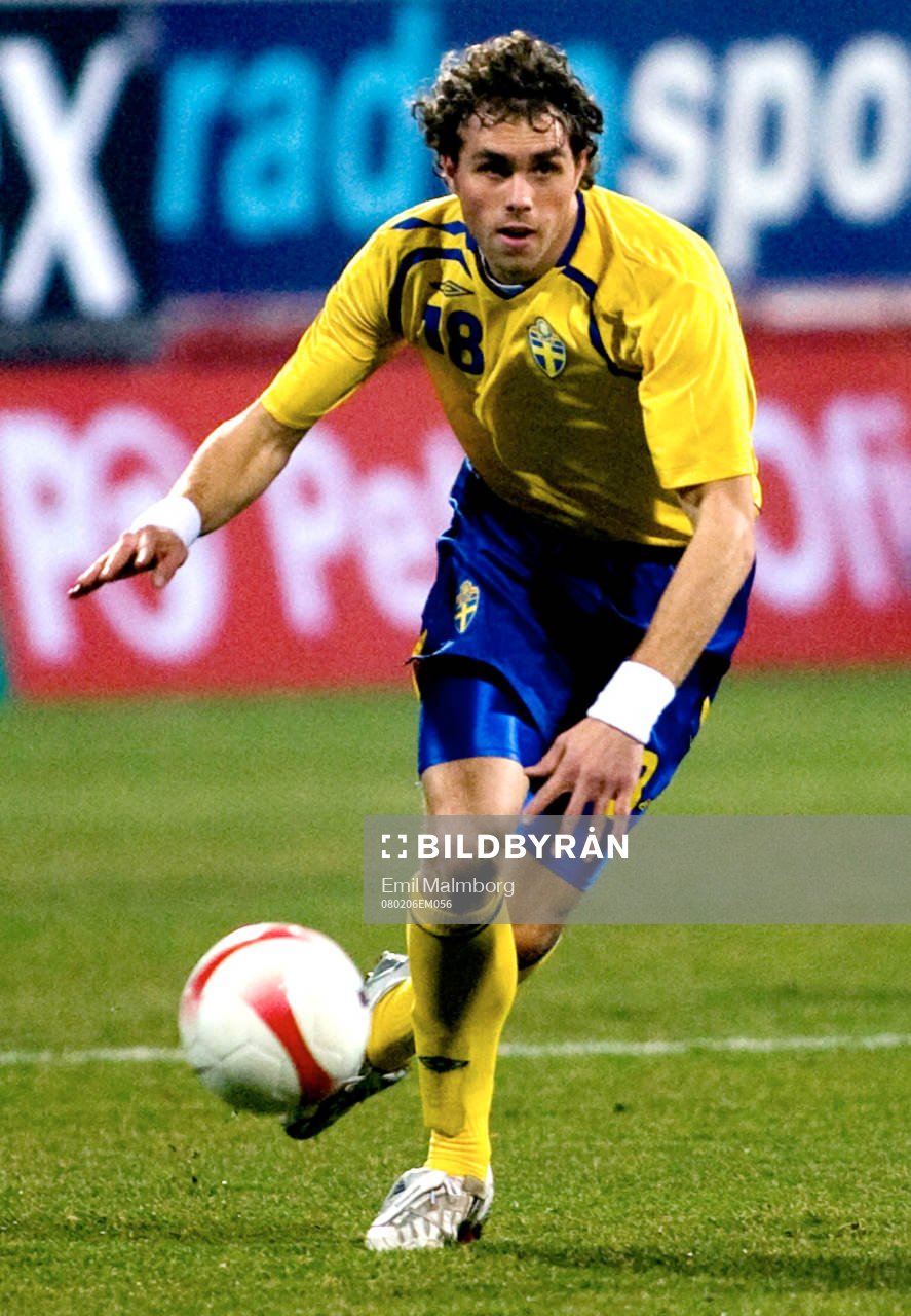 Johan Elmander, Sverige
