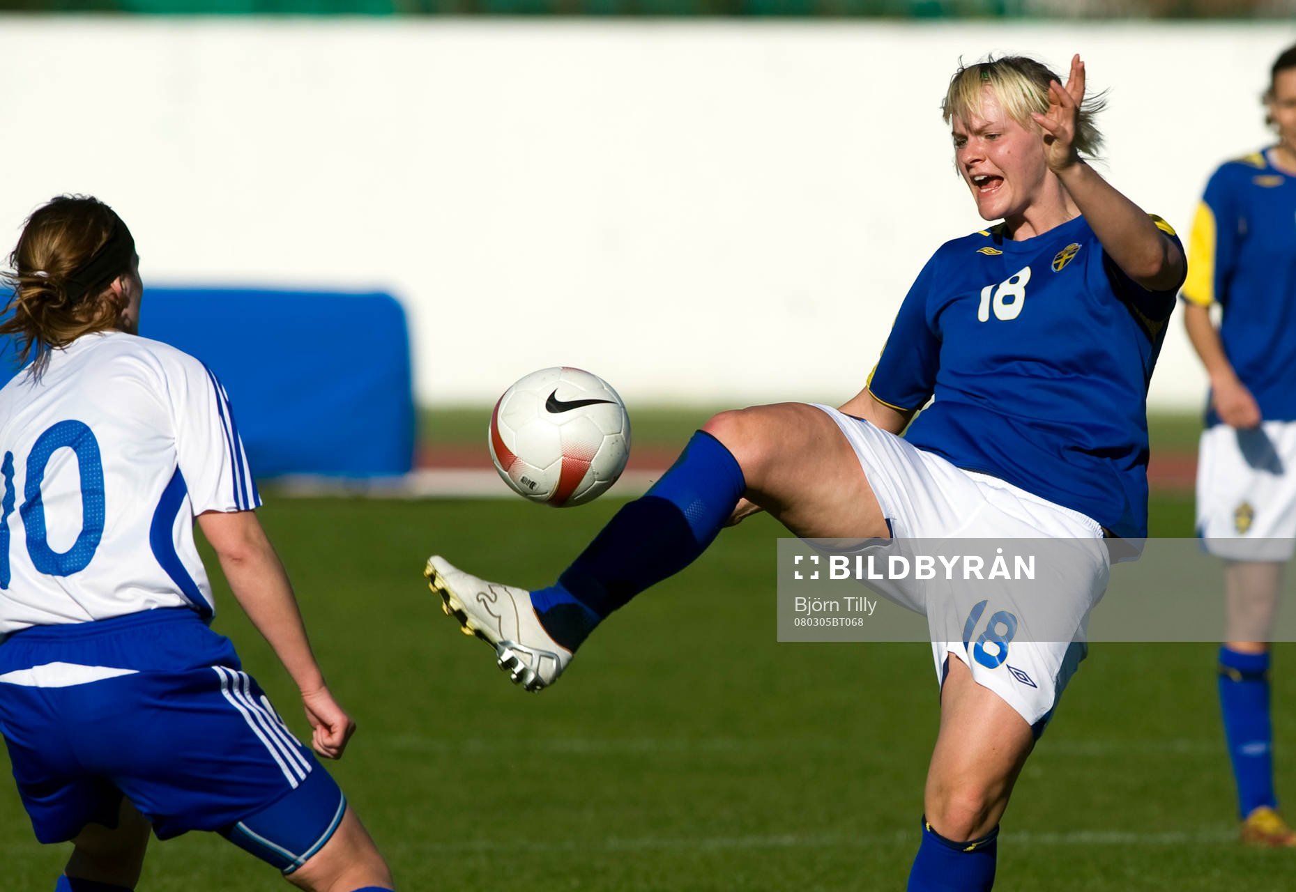 Nilla Fischer, Sverige
