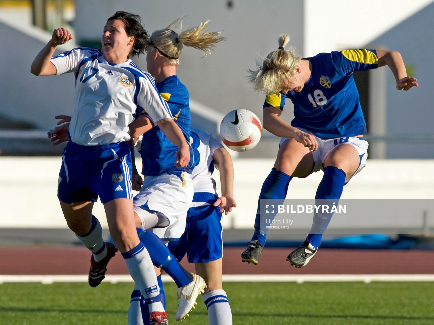 Nilla Fischer, Sverige