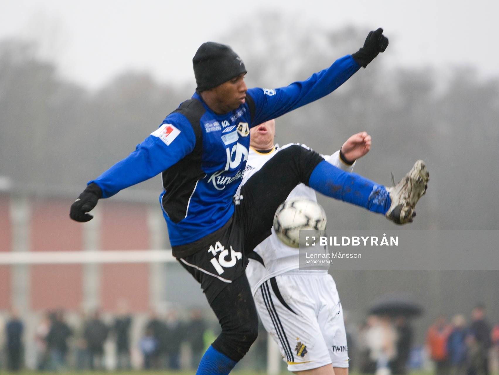 Anselmo, Halmstads nye brasse