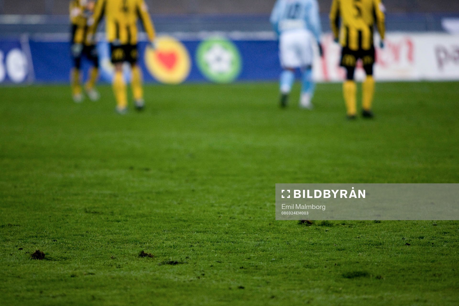 Träningsmatch.   Malmös gräsmatta