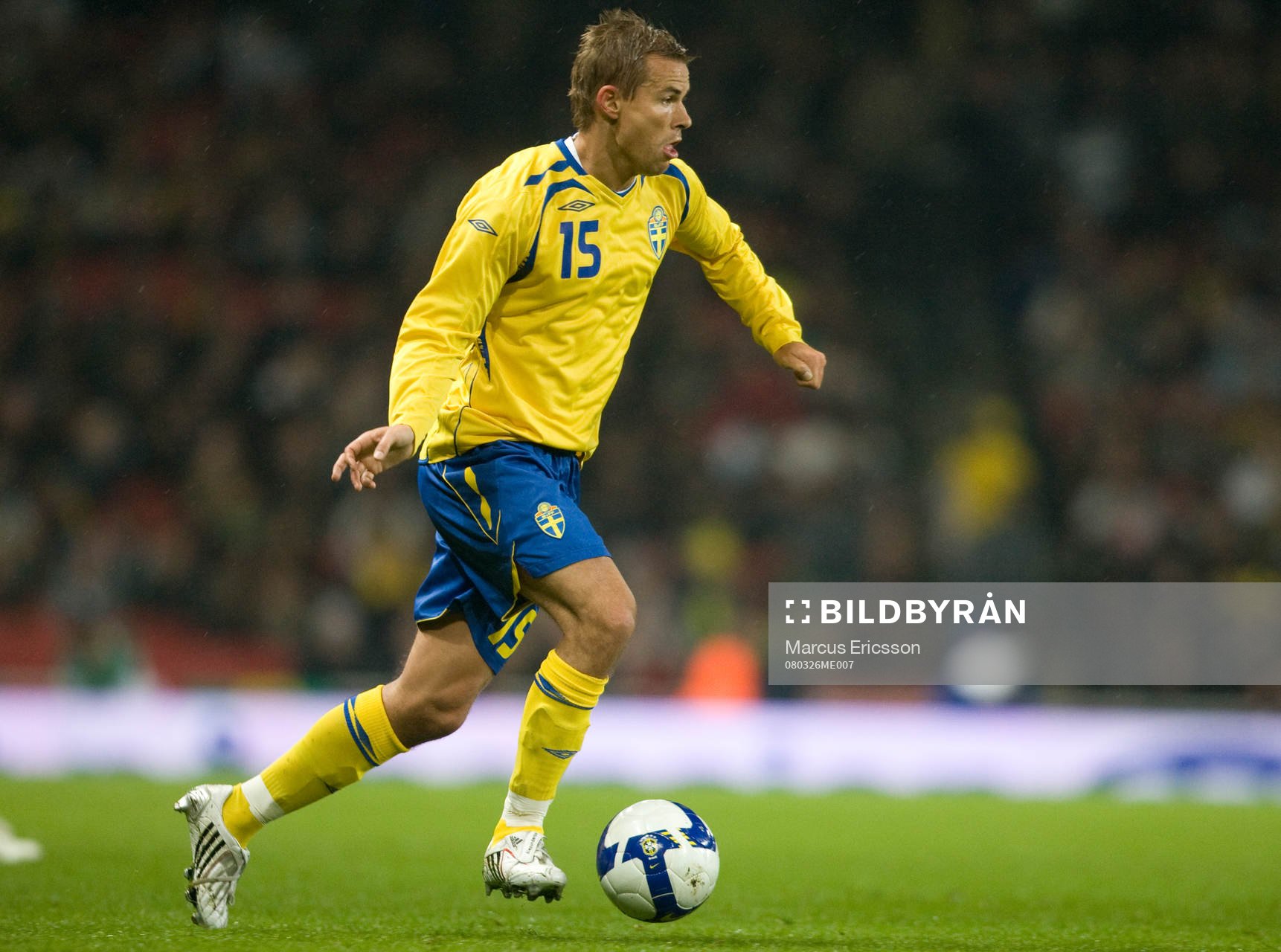 Niclas Alexandersson, Sverige