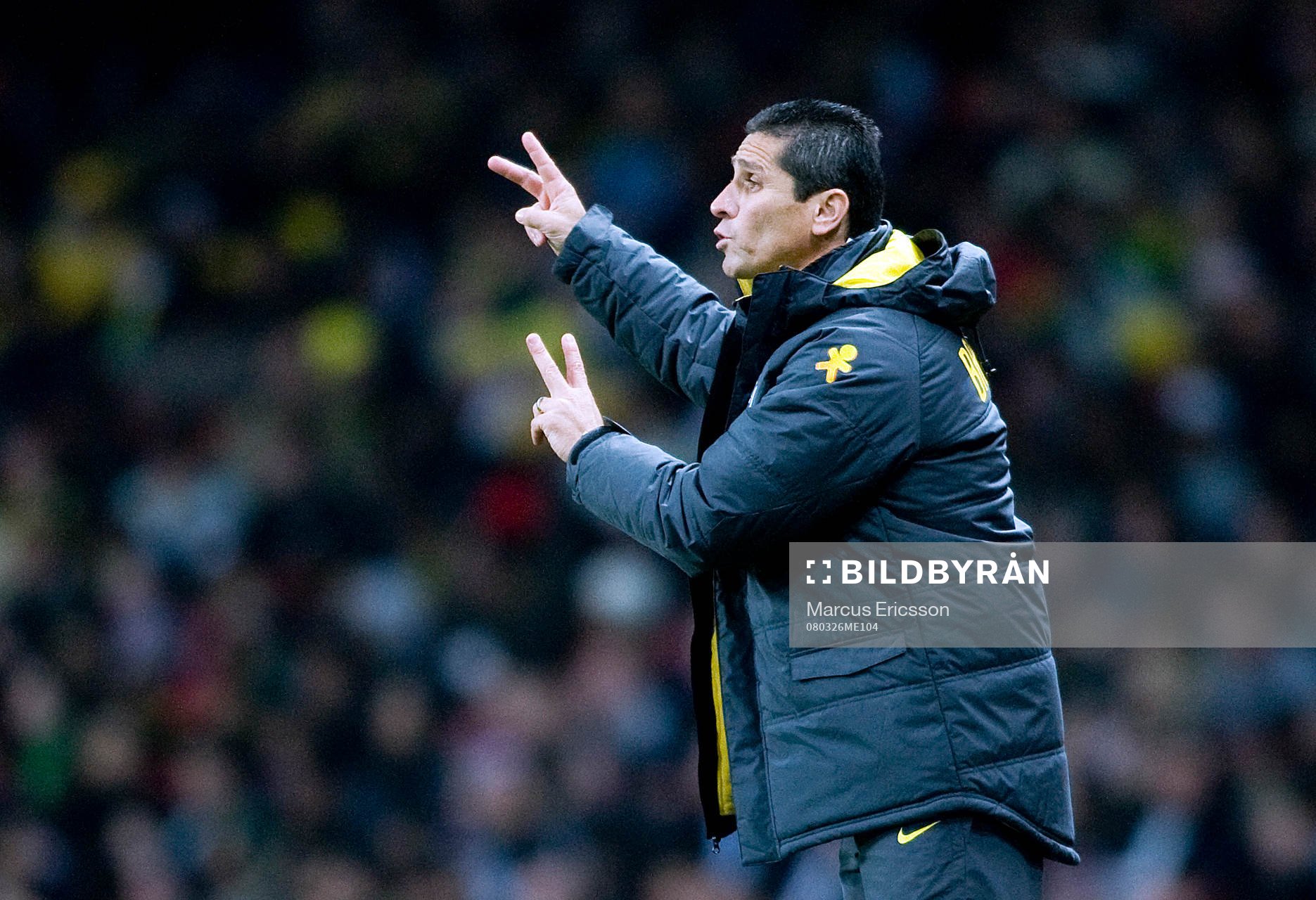 Carlos Dunga, Förbundskapten Brasilien